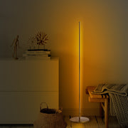 Candeeiro de Pé Elegante Dourada, Corpo de Metal, 153 cm de Altura, Base de 30 cm | LED 36W 3000K | Iluminação Elegante para Decoração Moderna de Casa e Escritório