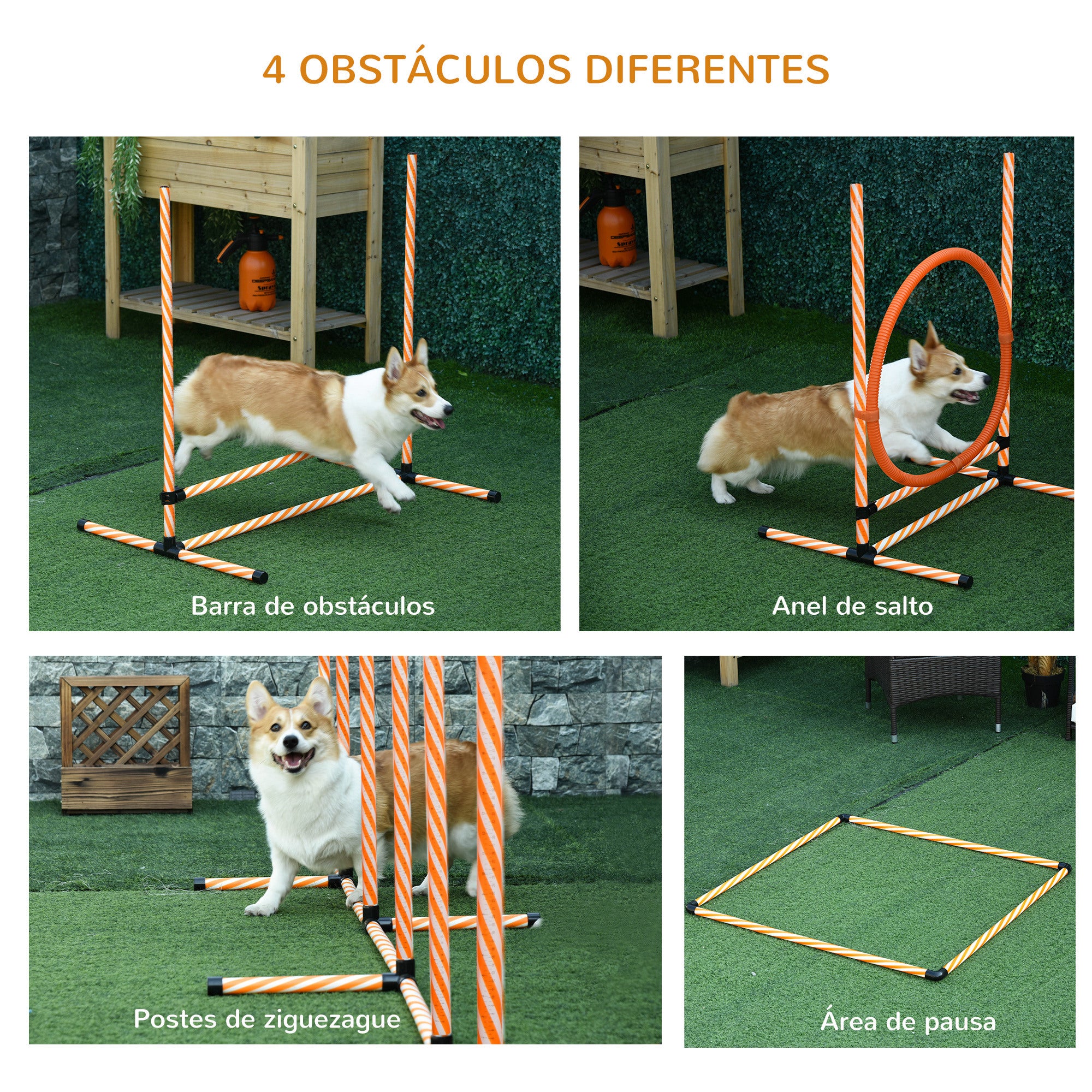 Kit de Treino de Agilidade para Cães - Laranja (328x67x93 cm)
