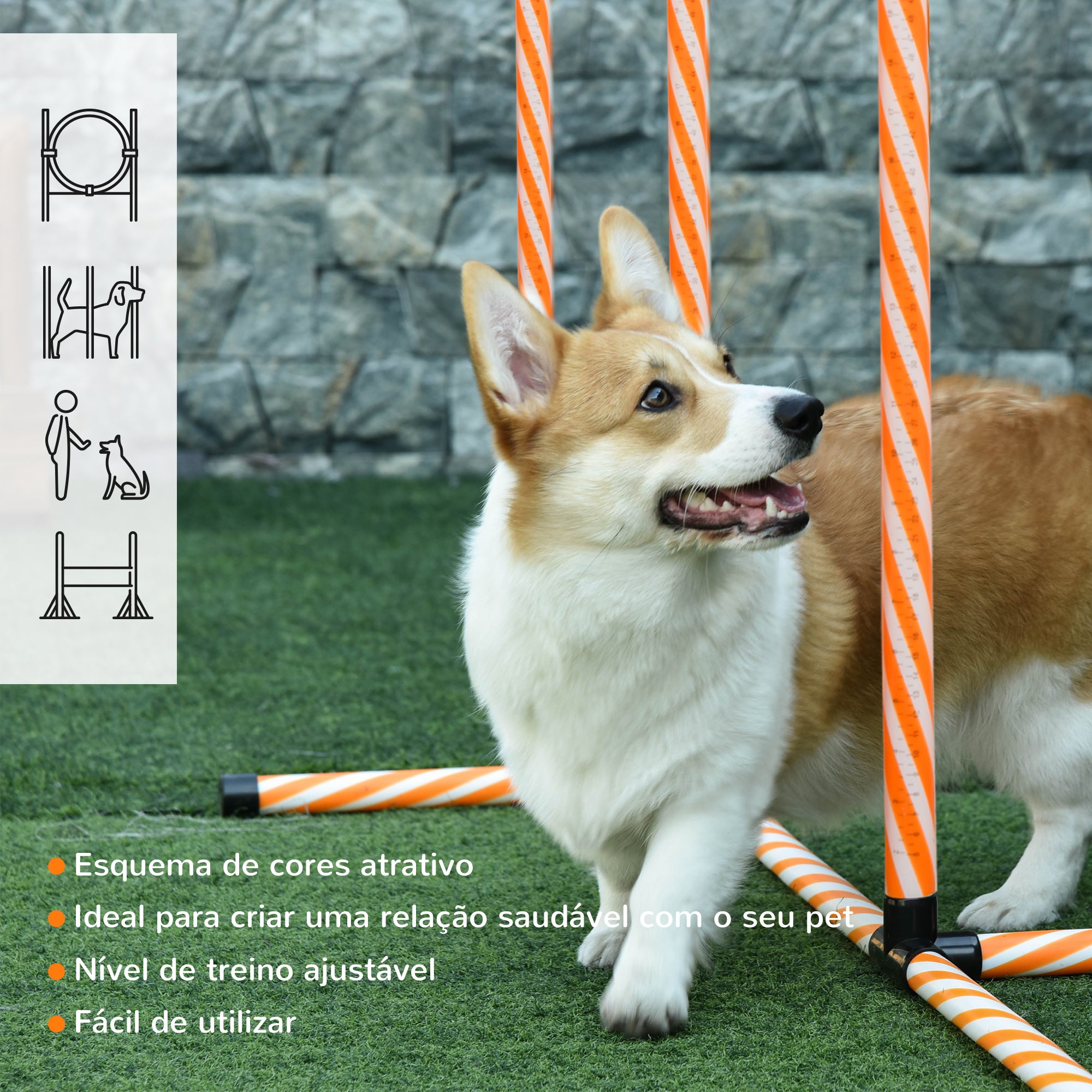 Kit de Treino de Agilidade para Cães - Laranja (328x67x93 cm)