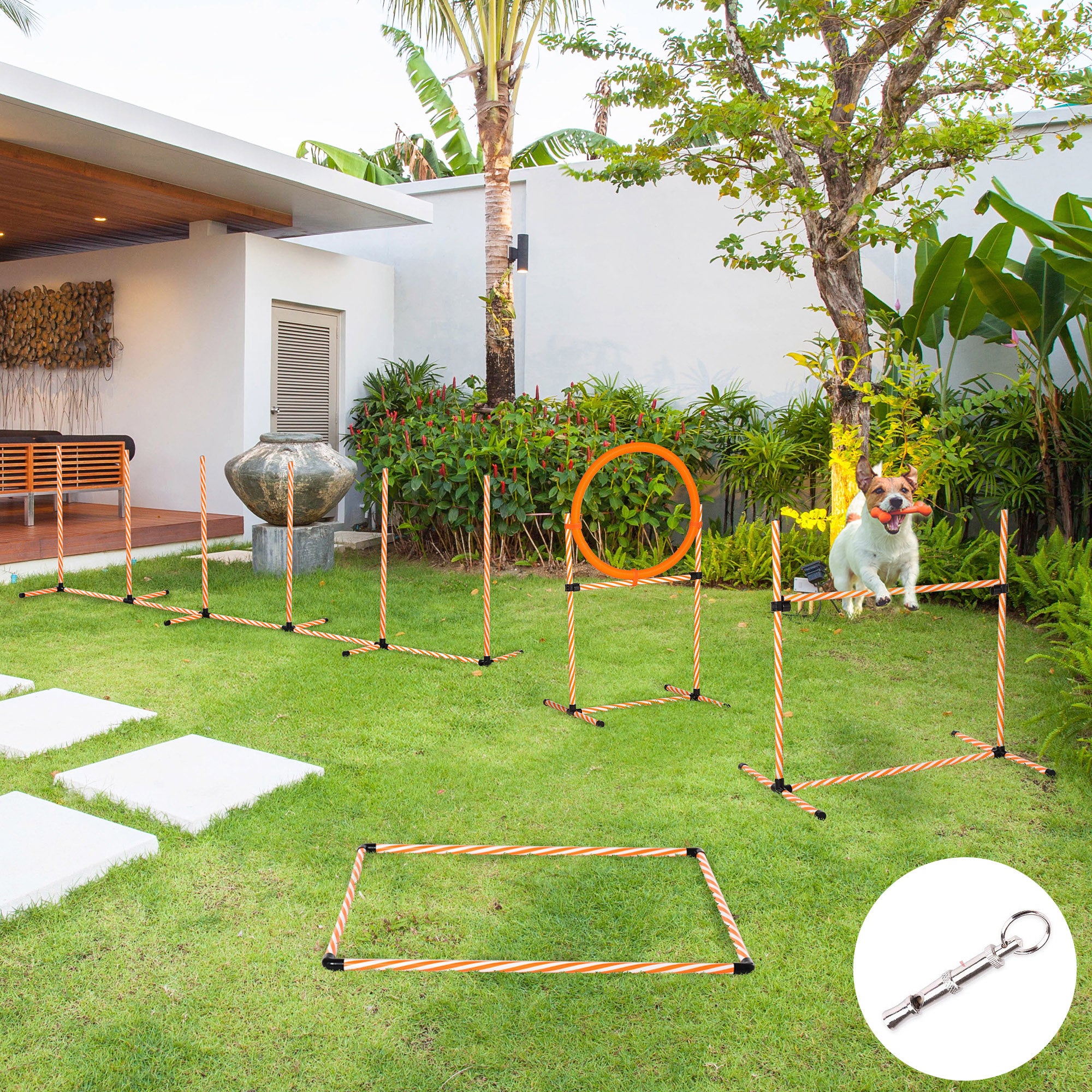 Kit de Treino de Agilidade para Cães - Laranja (328x67x93 cm)