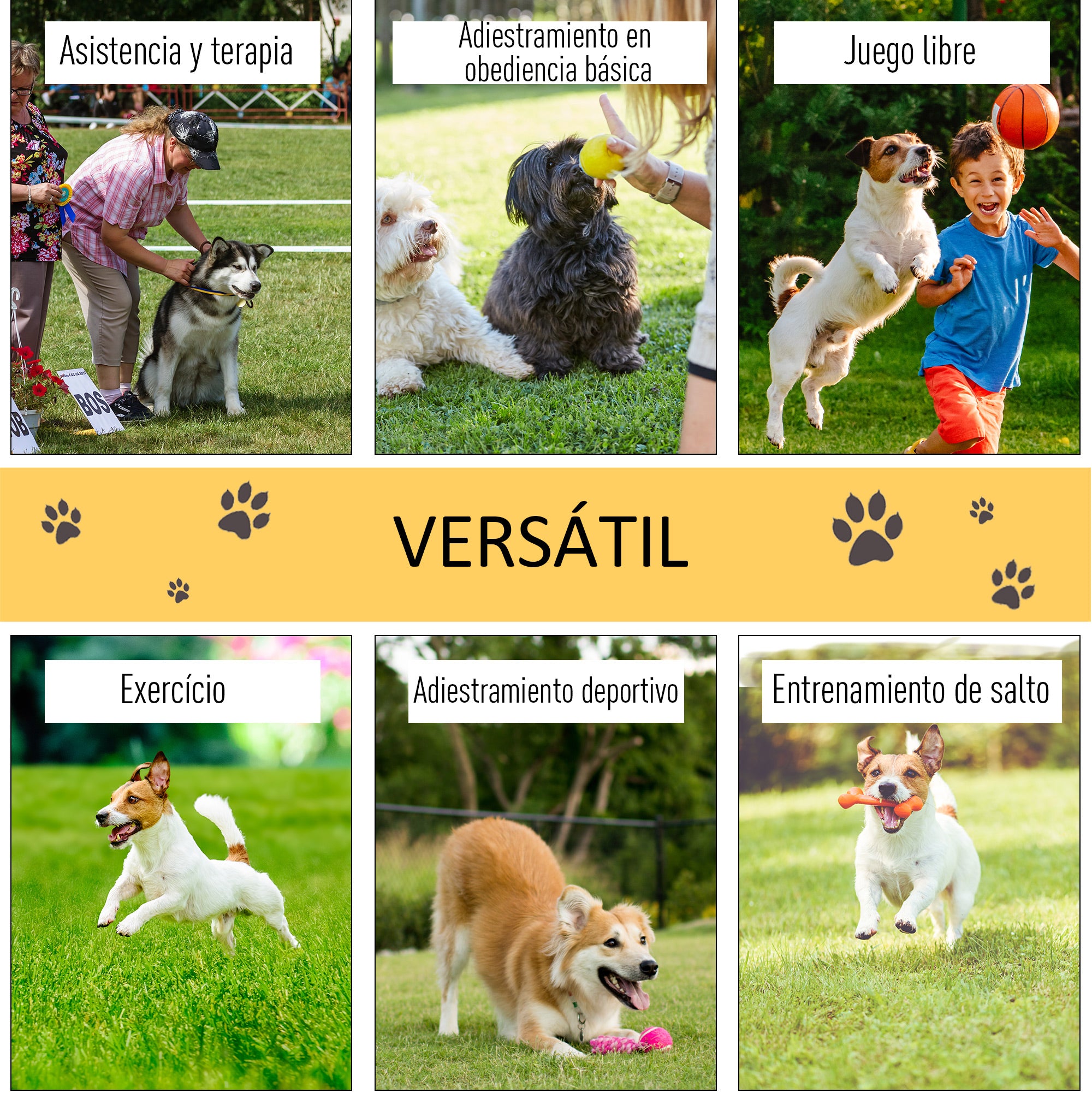 Conjunto de Obstáculos de Treinamento para Cães – 128x23x9-100 cm – Amarelo – ABS, PE, poliéster