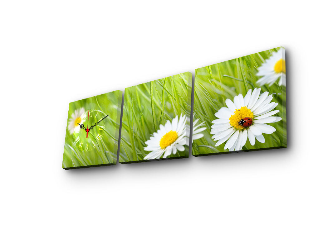 Relógio de Parede em Tela Decorativa (3 Peças) Multicolor — 28x28 cm cada, Moldura de Madeira 3 cm | 3P2828CS-9