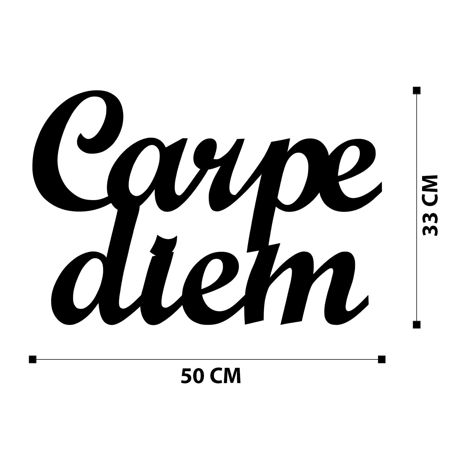 Carpediem 1 - Acessório Decorativo de Parede em Metal Preto (50 x 38 cm)