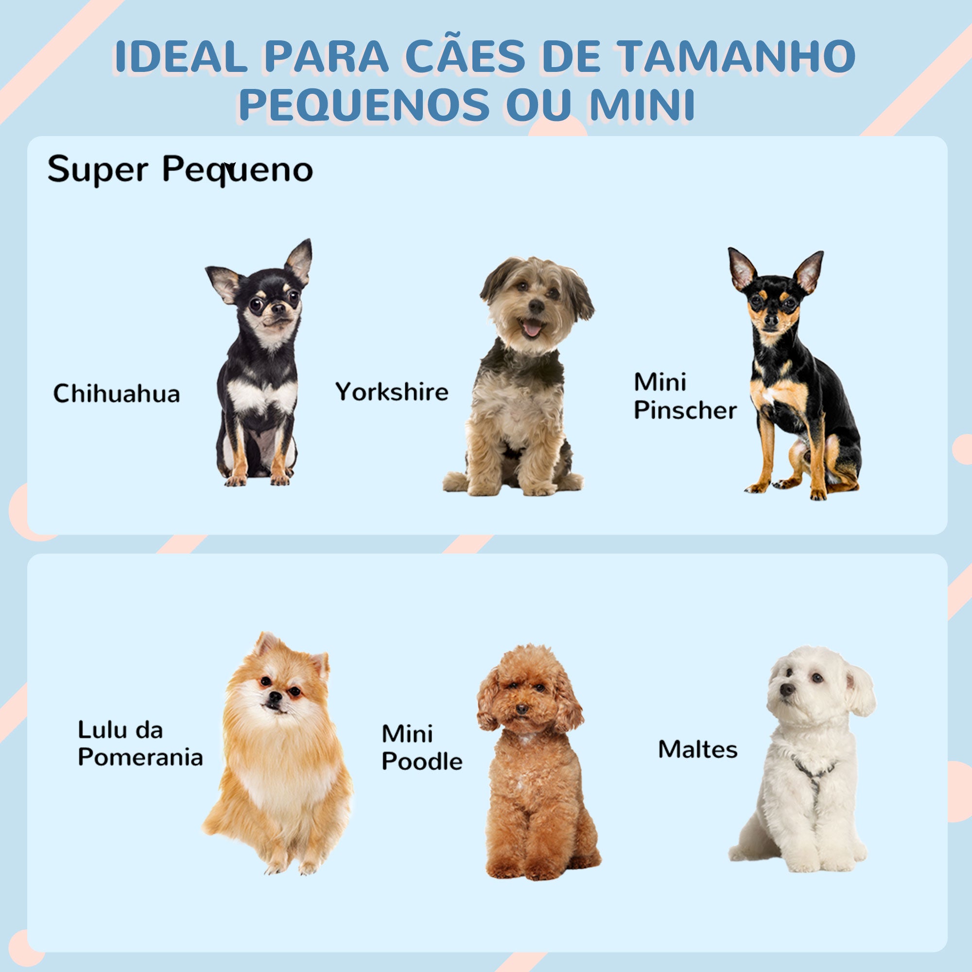 Casa para Cães Pequenos e Mini 59x75x66 cm - Azul e Cinza
