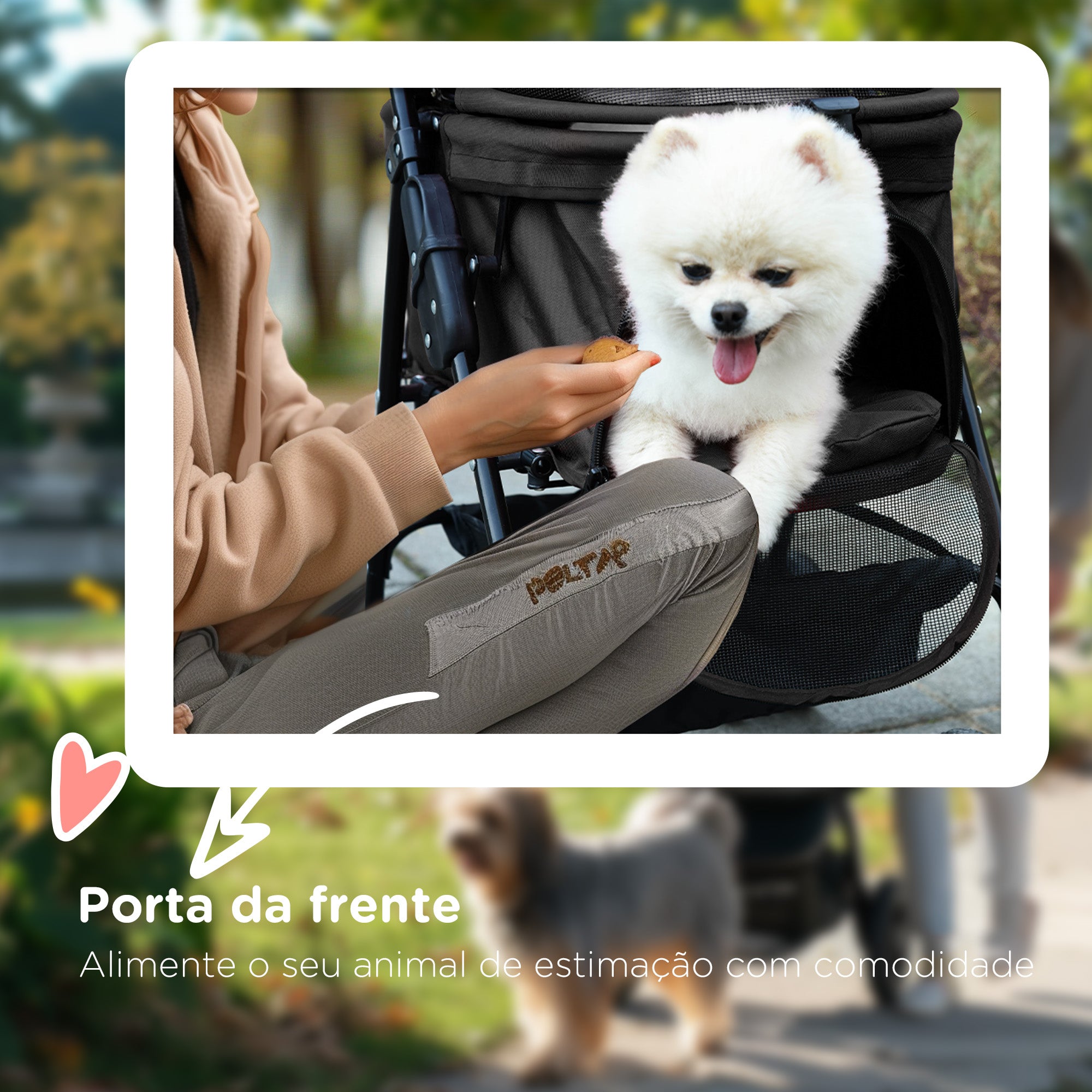 Carrinho para Cães Pequenos Dobrável – 67x45x96 cm – Preto – Aço e Tecido Oxford
