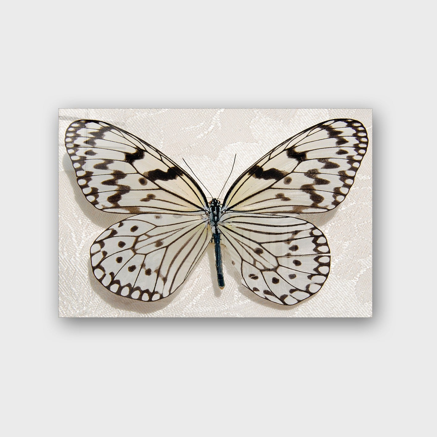 Quadro Decorativo em Vidro Temperado Multicolor 70x100cm - 4mm de Espessura