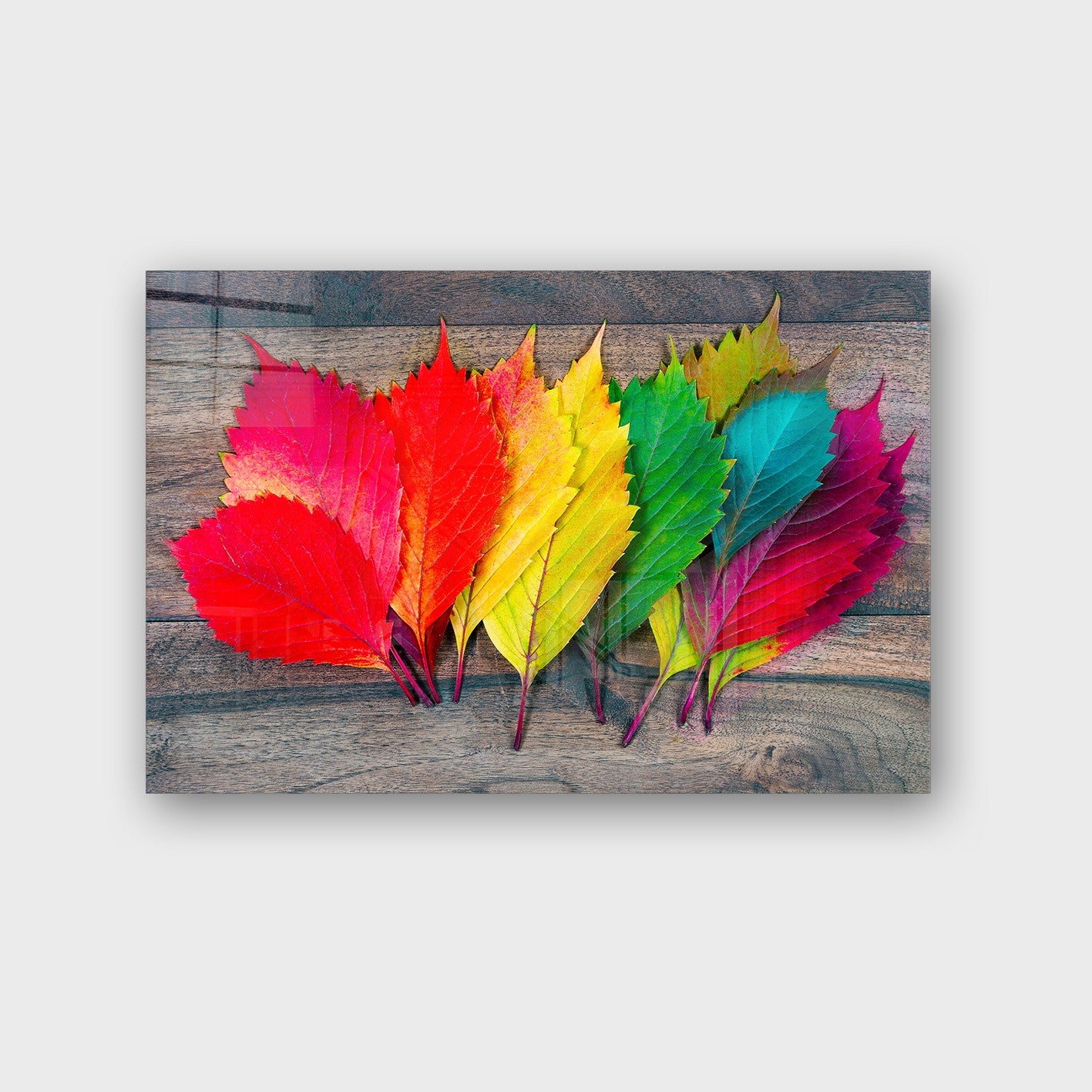 Quadro Decorativo em Vidro Temperado Multicolor 40x60cm - Arte Moderna para Parede