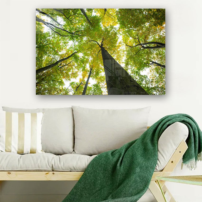 Quadro Decorativo em Vidro Temperado Multicolor 50x70cm - Arte Moderna para Parede