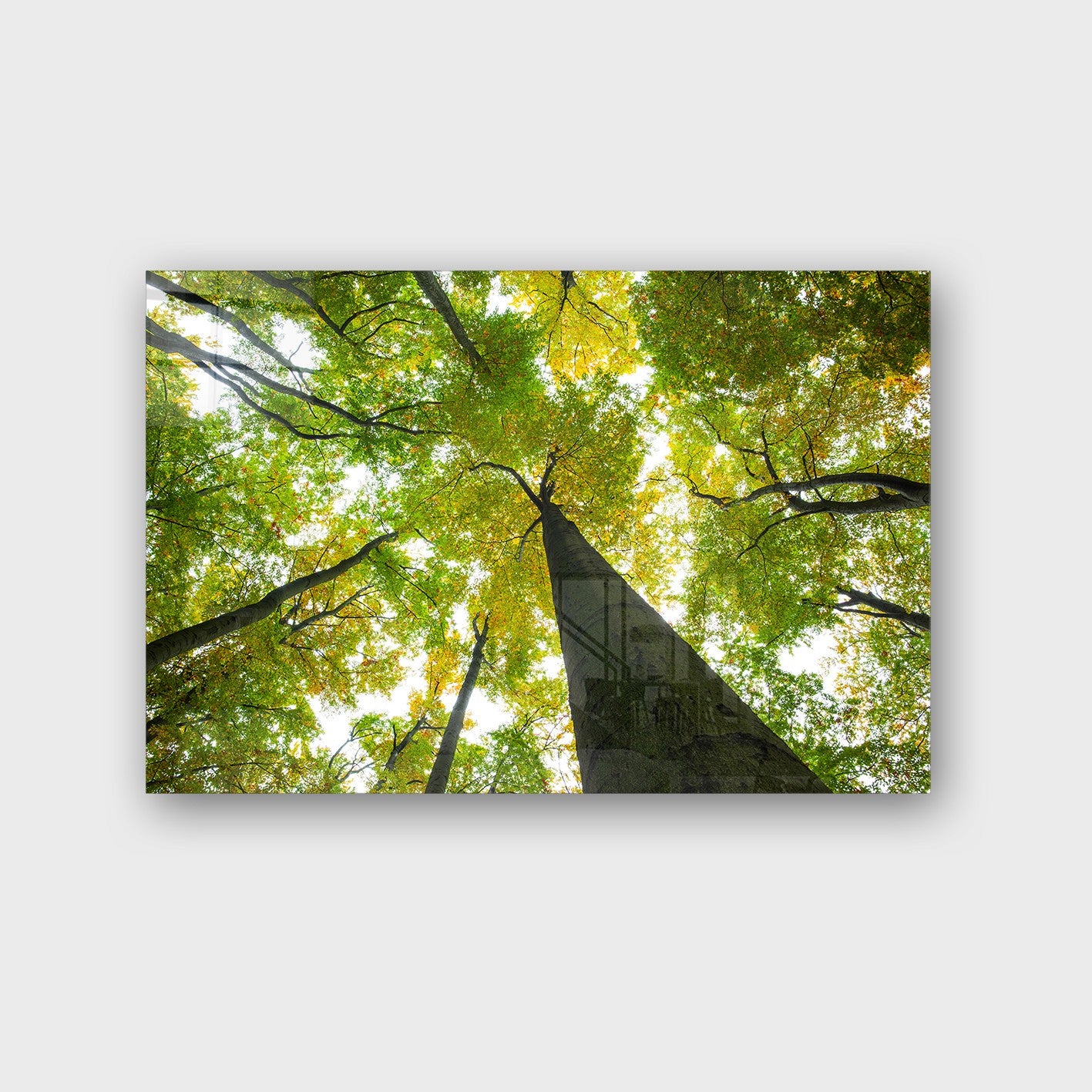 Quadro Decorativo em Vidro Temperado Multicolor 50x70cm - Arte Moderna para Parede