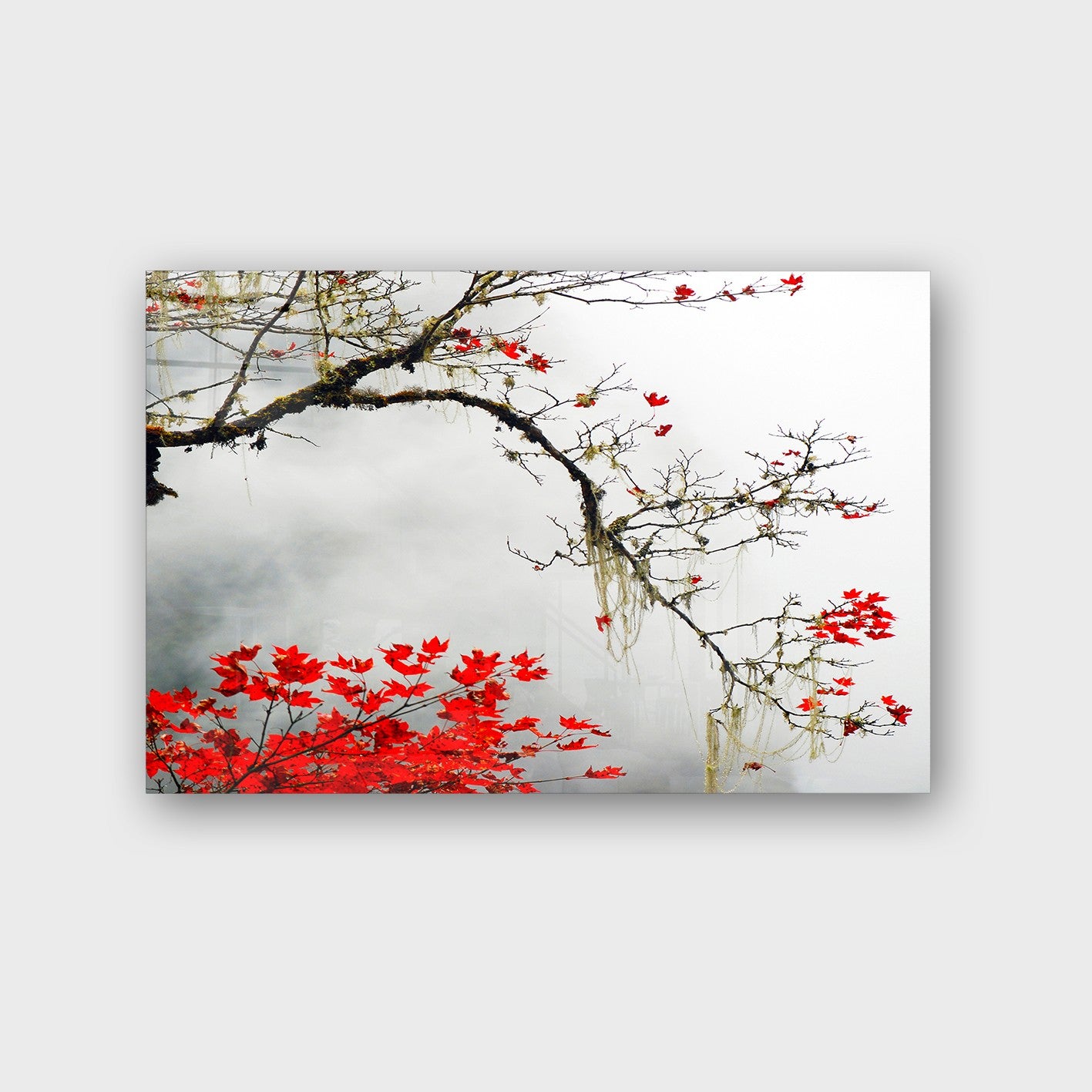Quadro Decorativo em Vidro Temperado Multicolor 40x60cm - Arte Moderna para Parede
