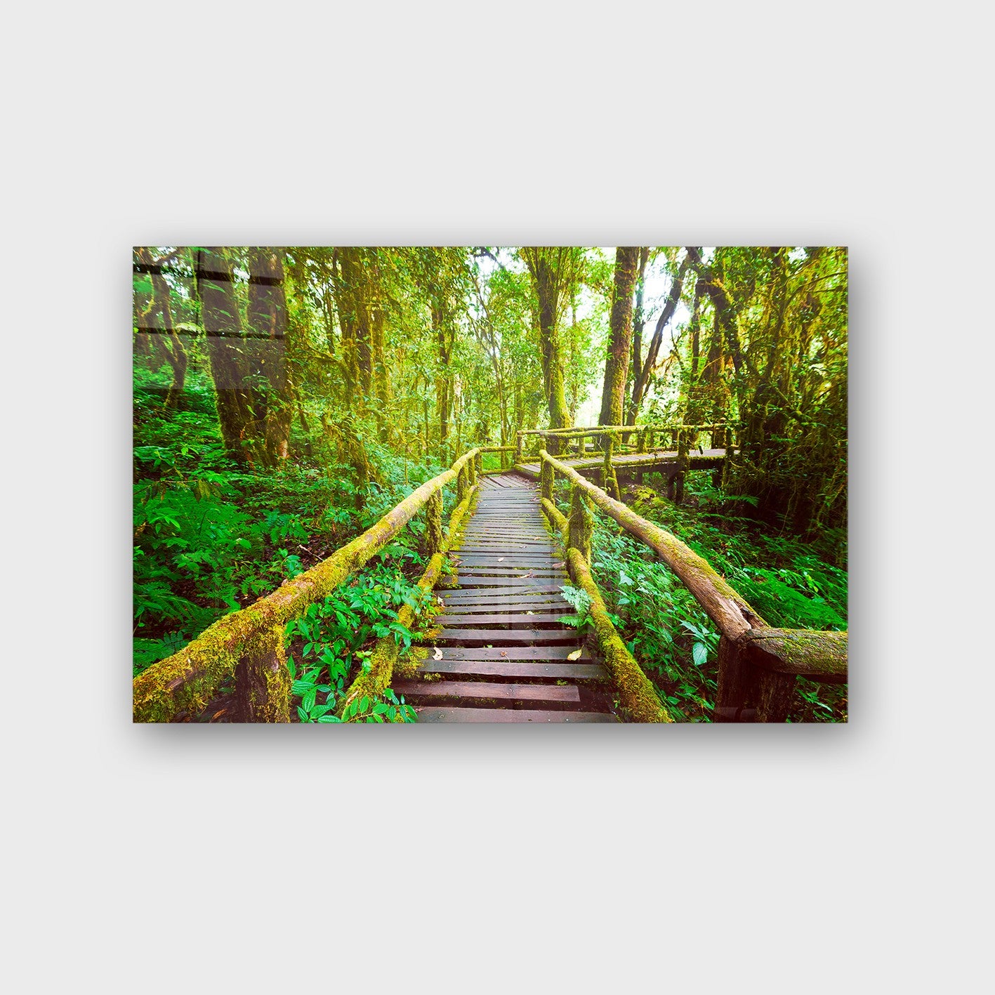 Quadro Decorativo em Vidro Temperado Multicolor 50x70cm - Arte Moderna para Parede