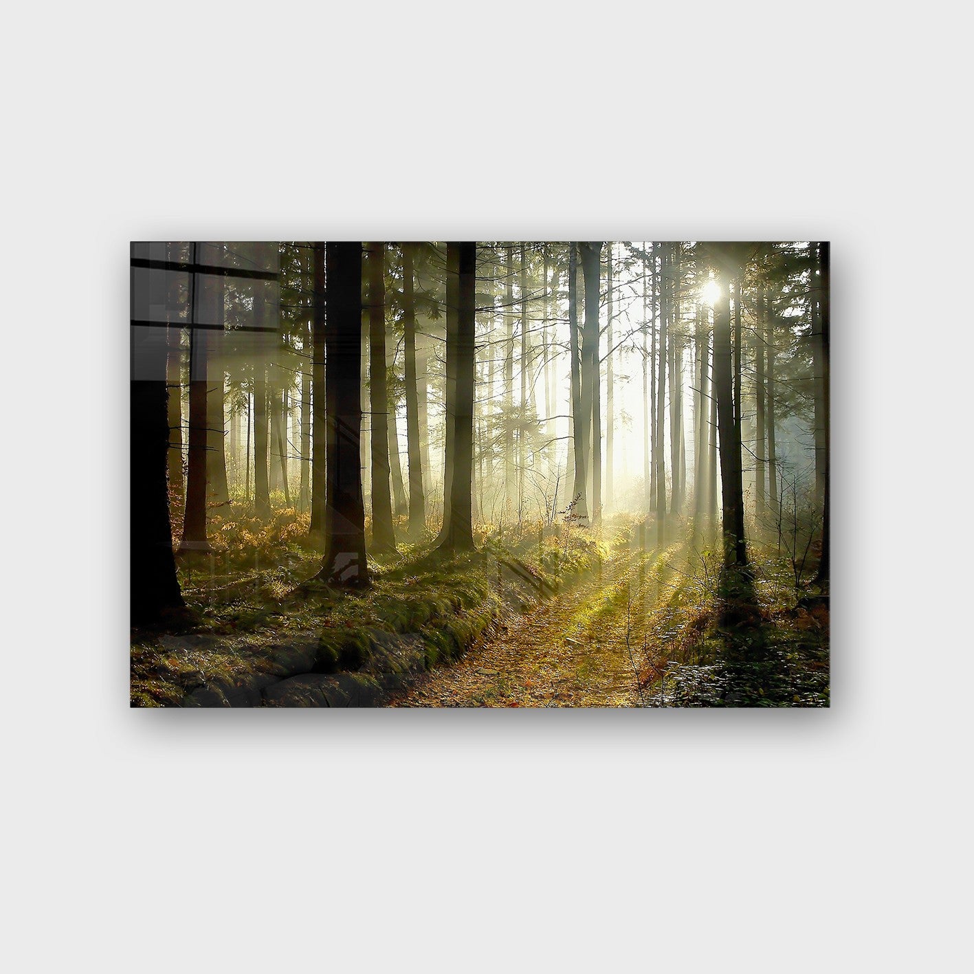 Quadro Decorativo em Vidro Temperado Multicolor 50x70cm - Arte Moderna para Parede