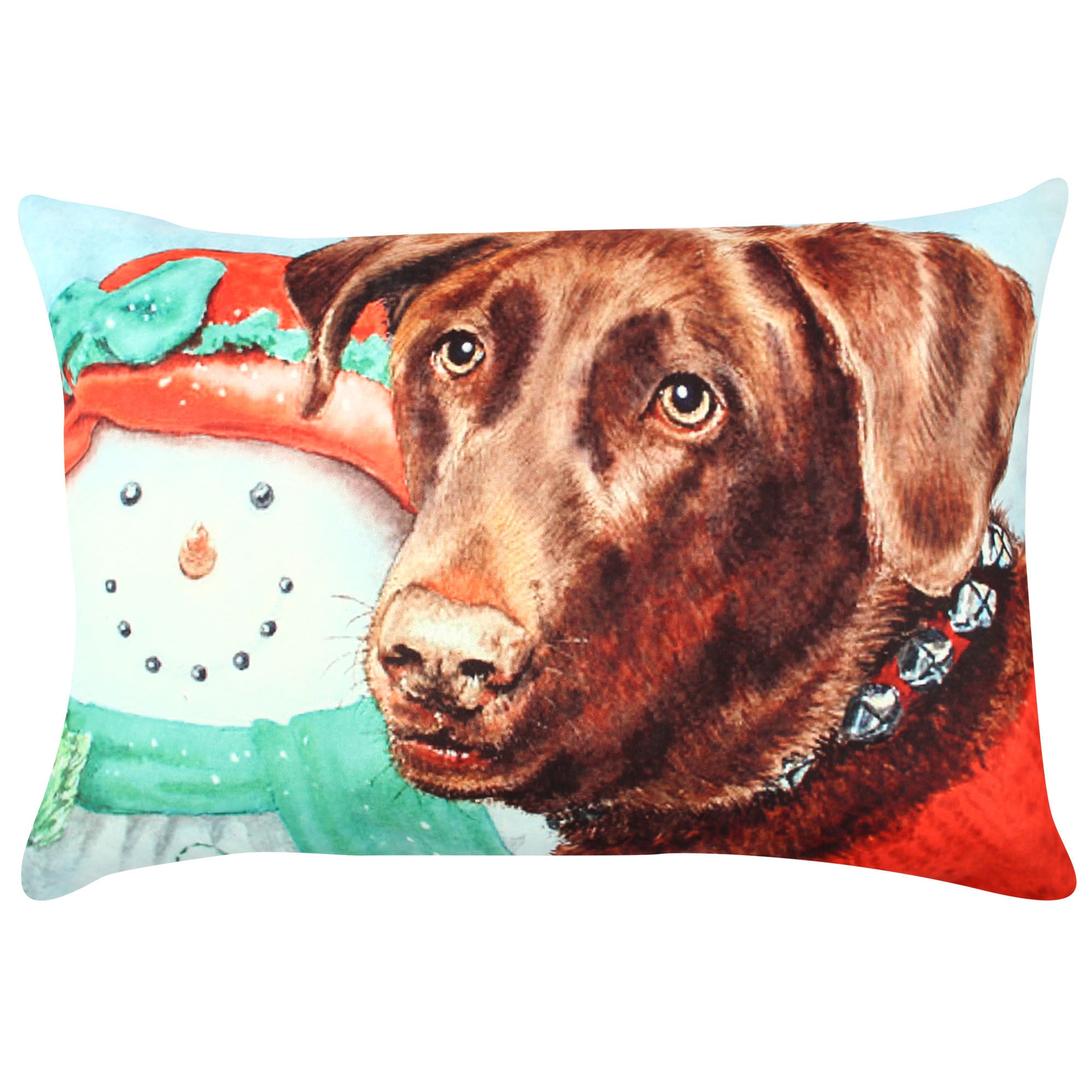 Almofada – 33 x 48 cm – Multicolorido – Algodão e Poliéster