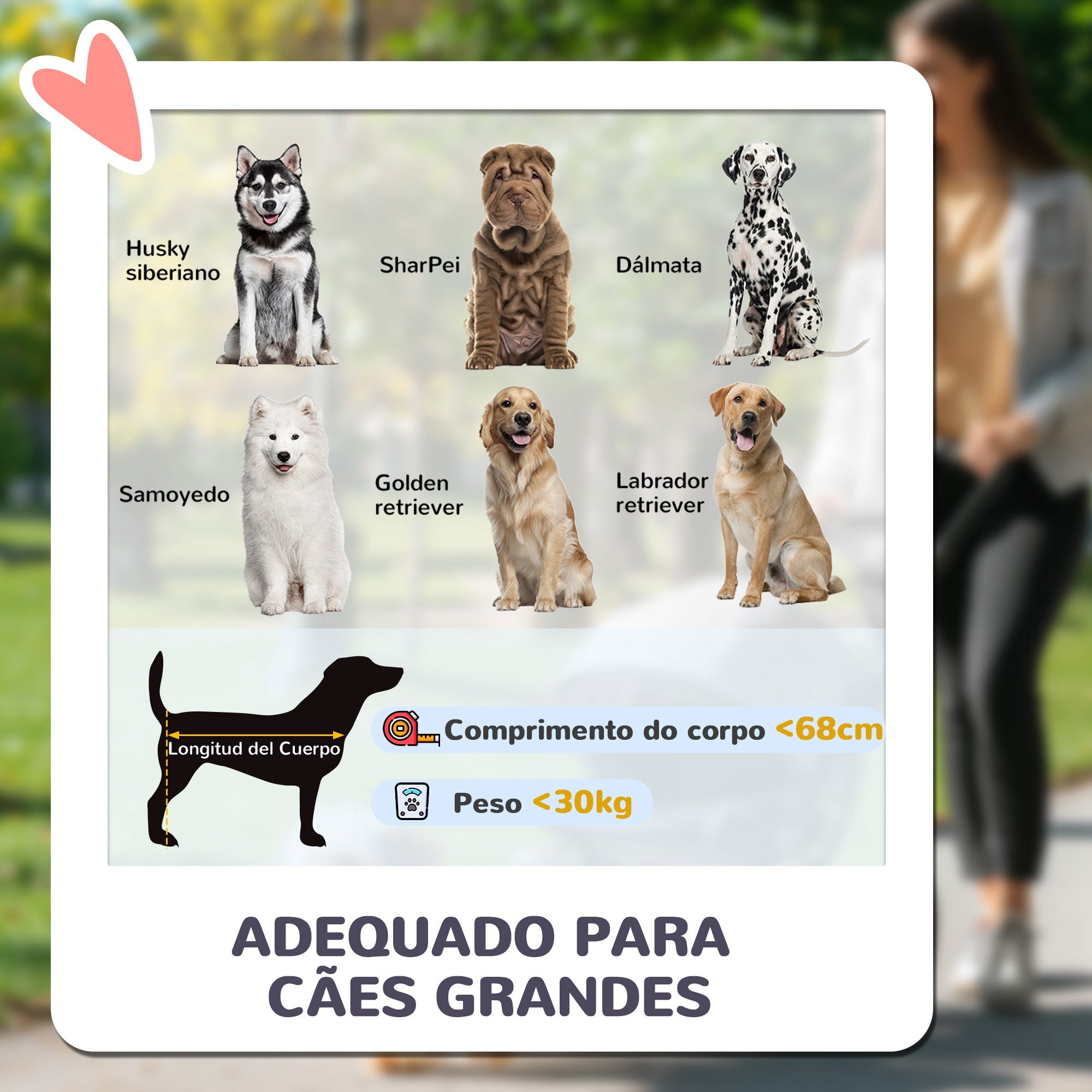 Carrinho para Cães Dobrável com Rodas Grandes 124x67x100 cm - Azul