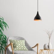 Candeeiro de Teto preto moderno, 22 cm de diâmetro, 122 cm de altura | Corpo de ferro, soquete E27, 40 W máx. | Design industrial e escandinavo elegante para decoração de casa