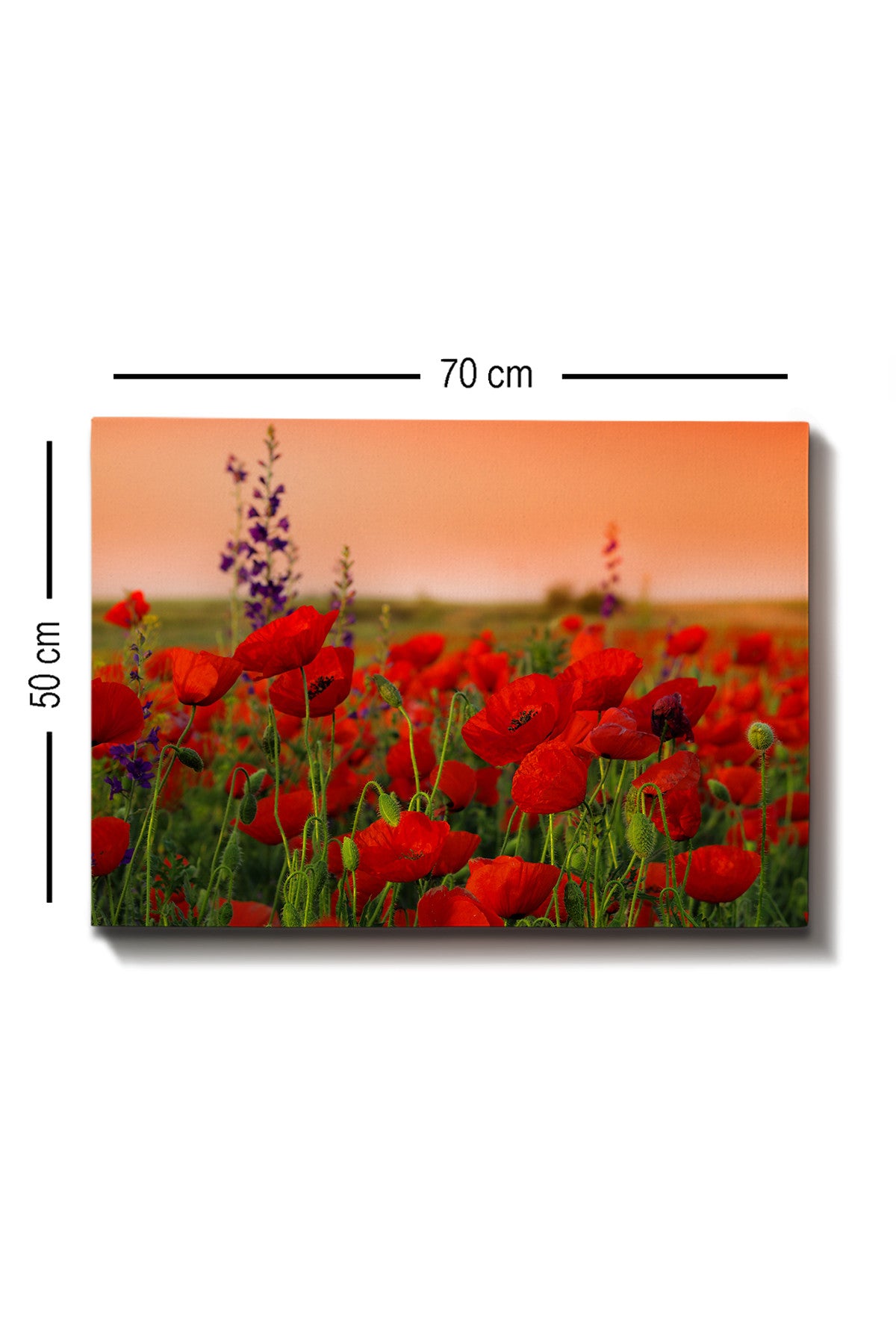 Impressionante pintura decorativa em tela, 50 x 70 cm | 100% tela, 100% moldura de madeira (3 cm de espessura) | Perfeita para amantes de decoração e arte