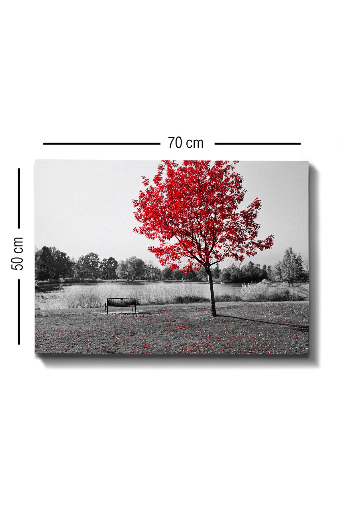 Impressionante pintura decorativa em tela, 50 x 70 cm | 100% tela, 100% moldura de madeira (3 cm de espessura) | Perfeita para amantes de decoração e arte
