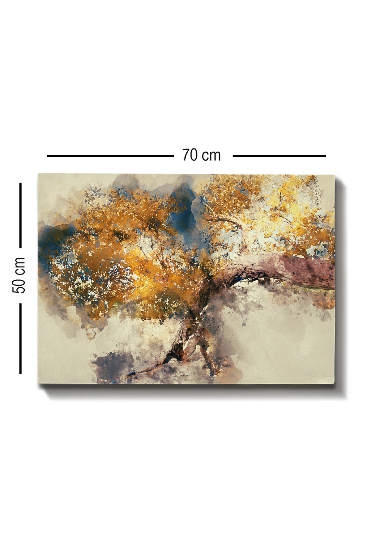 Impressionante pintura decorativa em tela, 50 x 70 cm | 100% tela, moldura de madeira com 3 cm de espessura | Perfeito para amantes de decoração e arte, artista anônimo