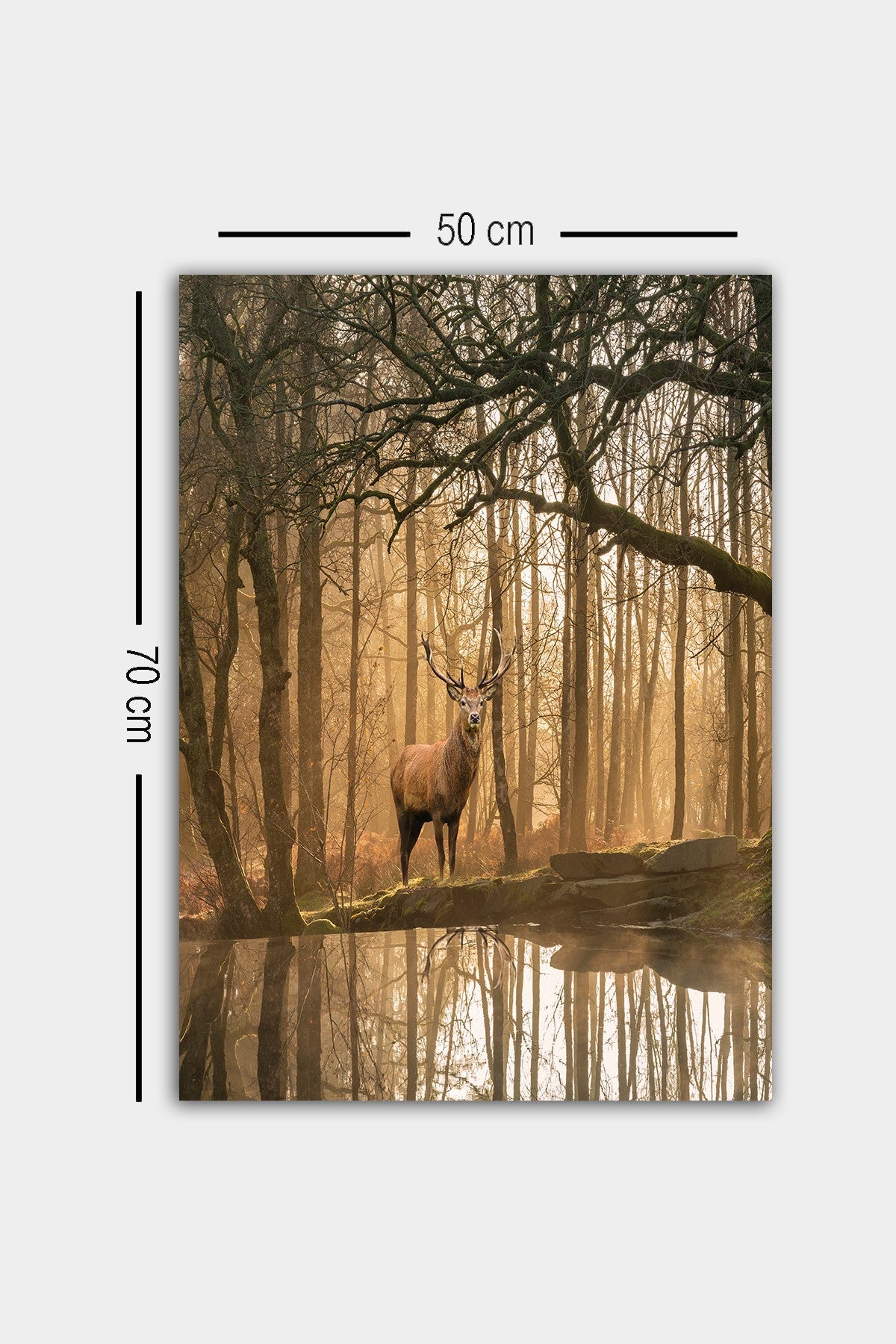 Impressionante pintura decorativa em tela, 50 x 70 cm | 100% tela, 100% moldura de madeira (3 cm de espessura) | Perfeita para amantes de decoração e arte