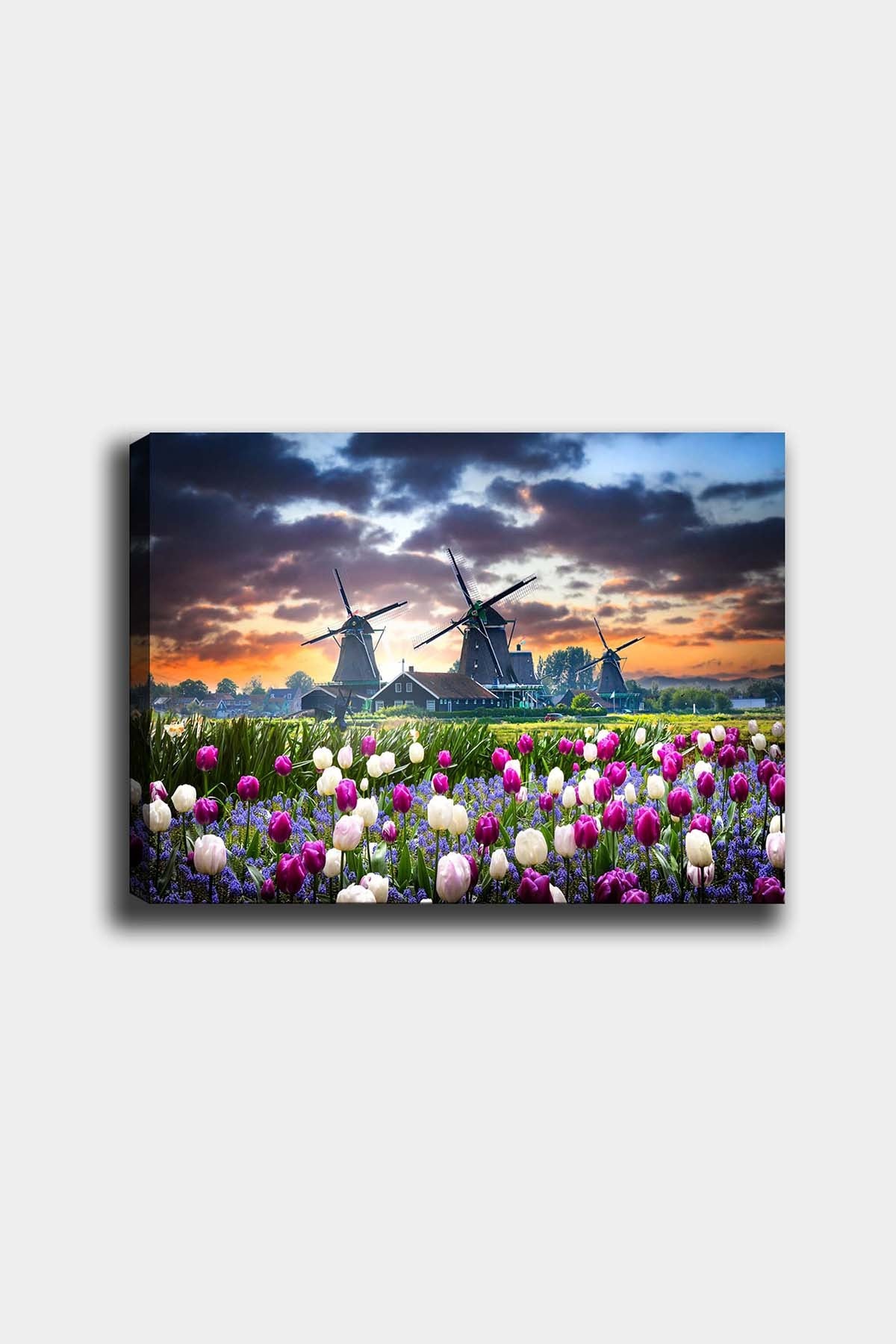 Impressionante pintura decorativa em tela, 50 x 70 cm | 100% tela, 100% moldura de madeira (3 cm de espessura) | Perfeita para amantes de decoração e arte