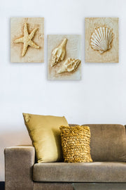 Conjunto de pinturas decorativas elegantes em MDF (3 peças), 30 x 40 cm cada | 100% MDF, 3 mm de espessura | Perfeito para decoração de casa, sala de estar e escritórios