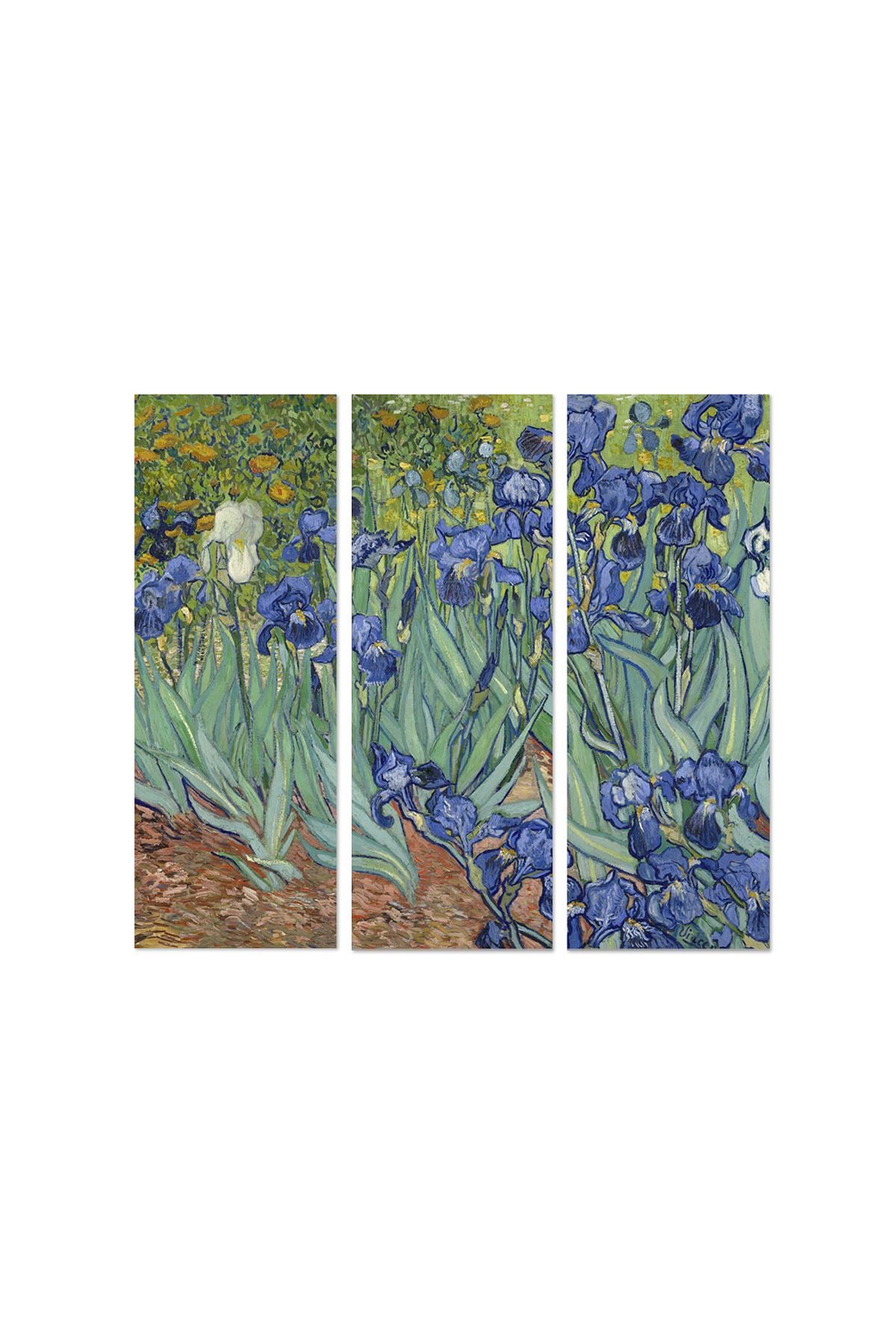 Pinturas decorativas de MDF de Vincent van Gogh (3 peças), 20 x 50 cm cada | 100% MDF, 3 mm de espessura | Arte impressionante para decoração de casa e paredes de galeria