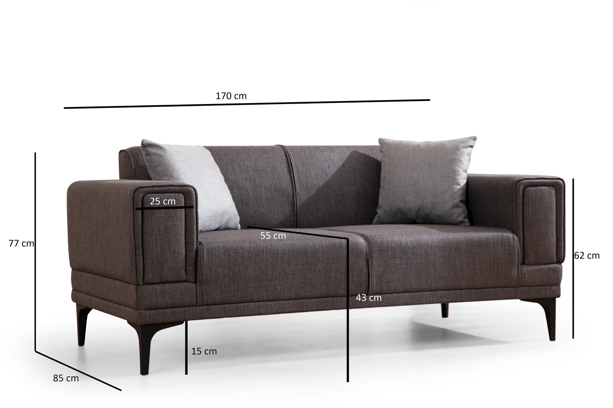 Sofá elegante de 2 lugares, cinza escuro, 170 x 85 x 77 cm | Estrutura em madeira de faia e aglomerado, 100% poliéster, almofadas de espuma macia | Fácil manutenção, design moderno