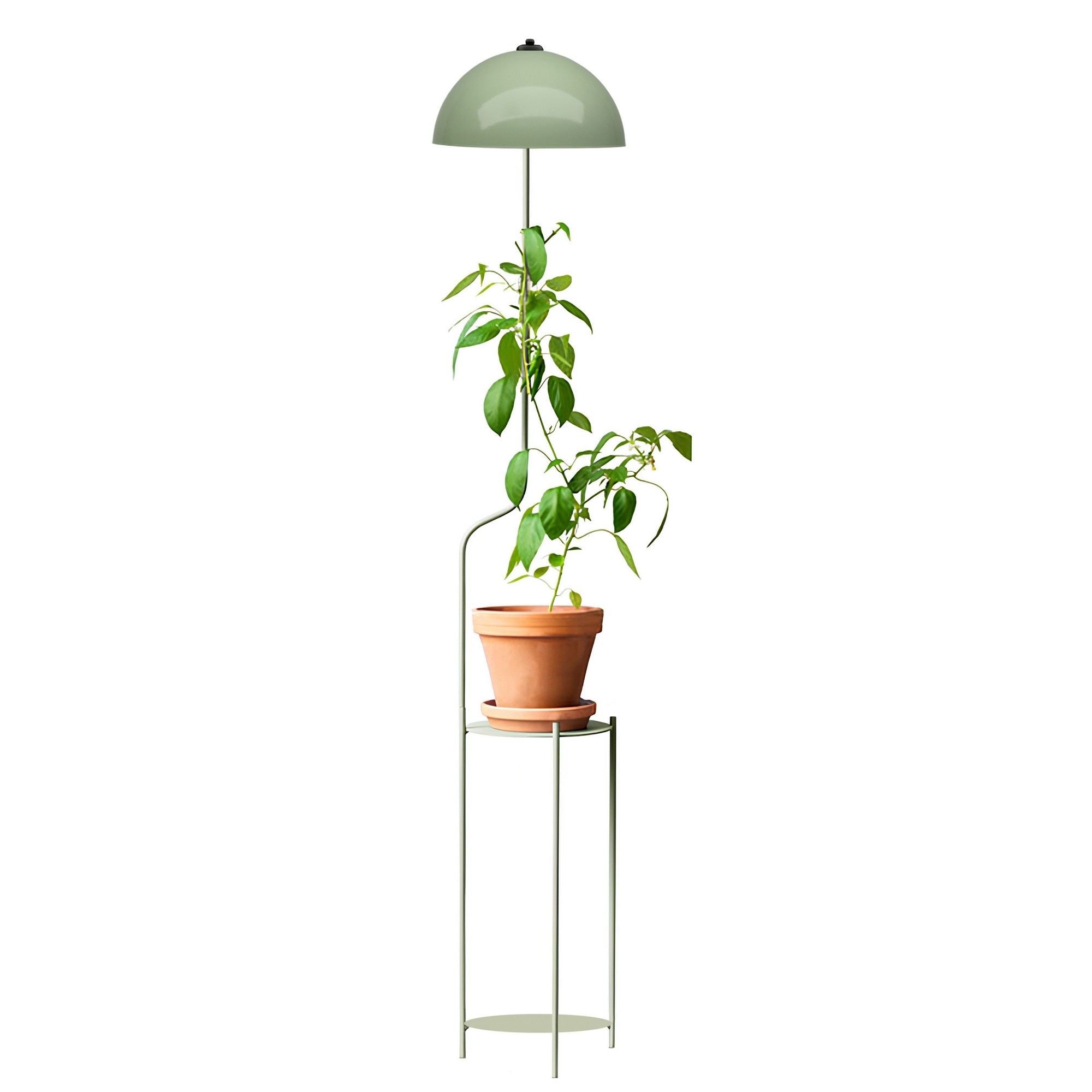 Candeeiro de Pé – 135 cm – Hortelã – Metálico