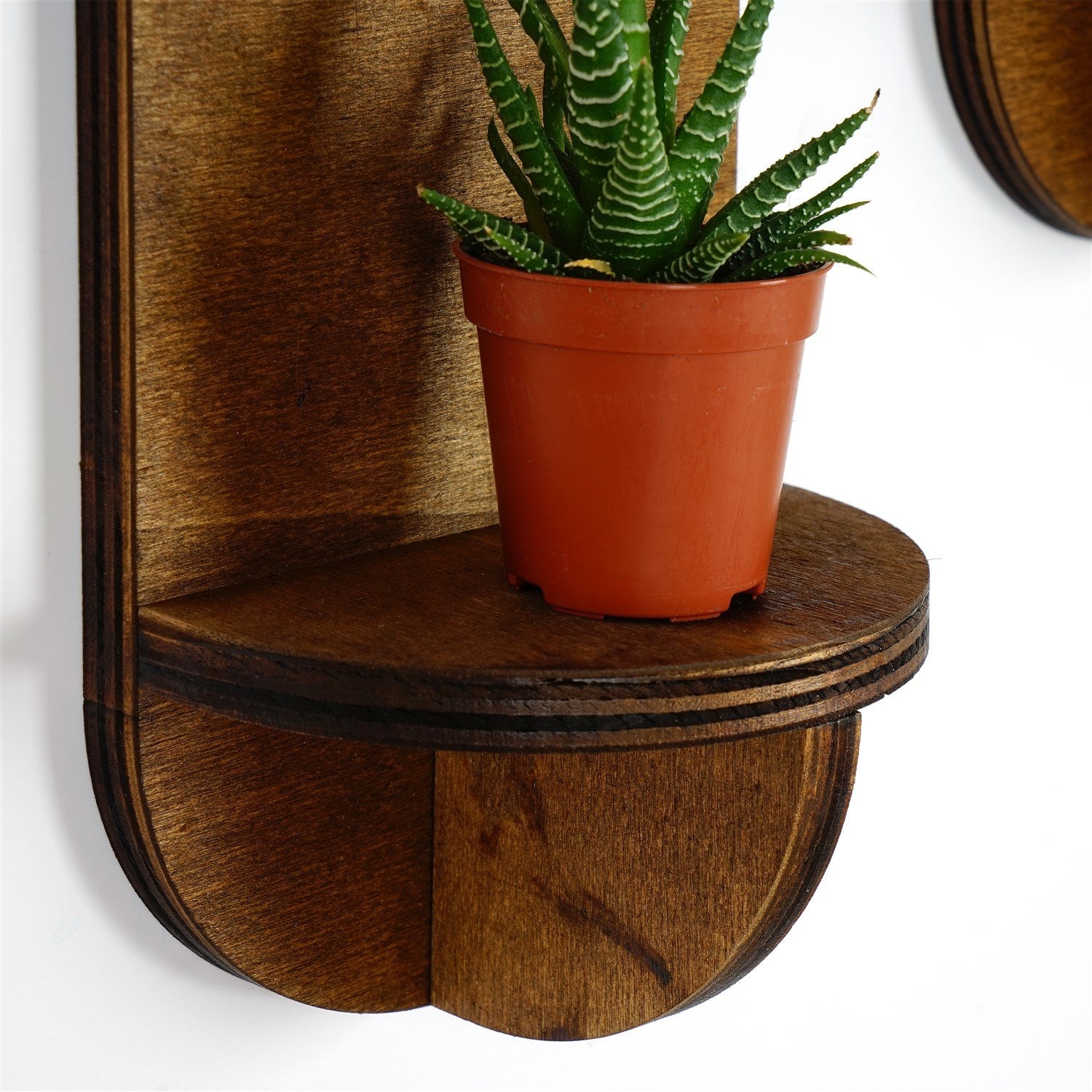 Prateleira de parede – 13 x 26 x 9 cm – Nogueira – Contraplacado
