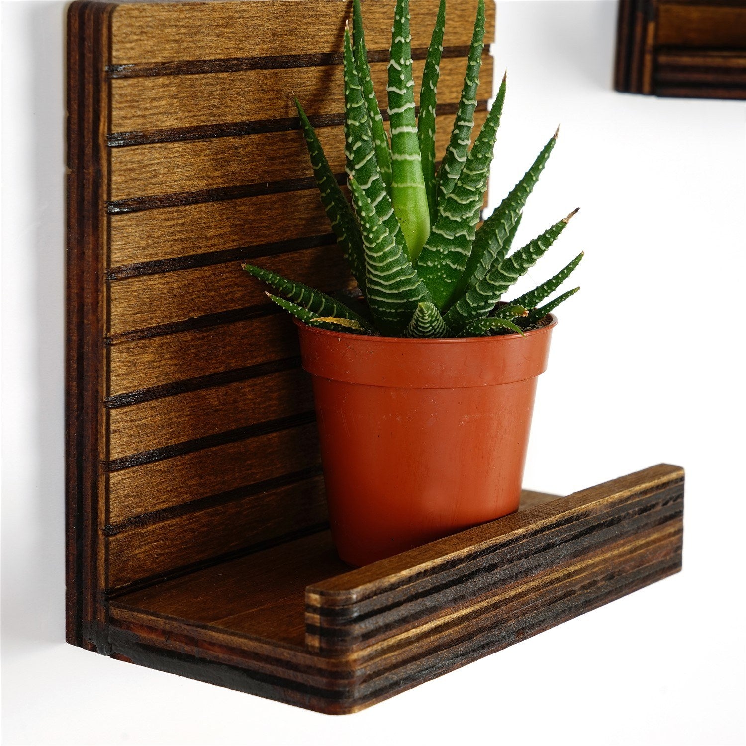 Prateleira de parede – 13 x 13 x 7 cm – Nogueira – 100% contraplacado