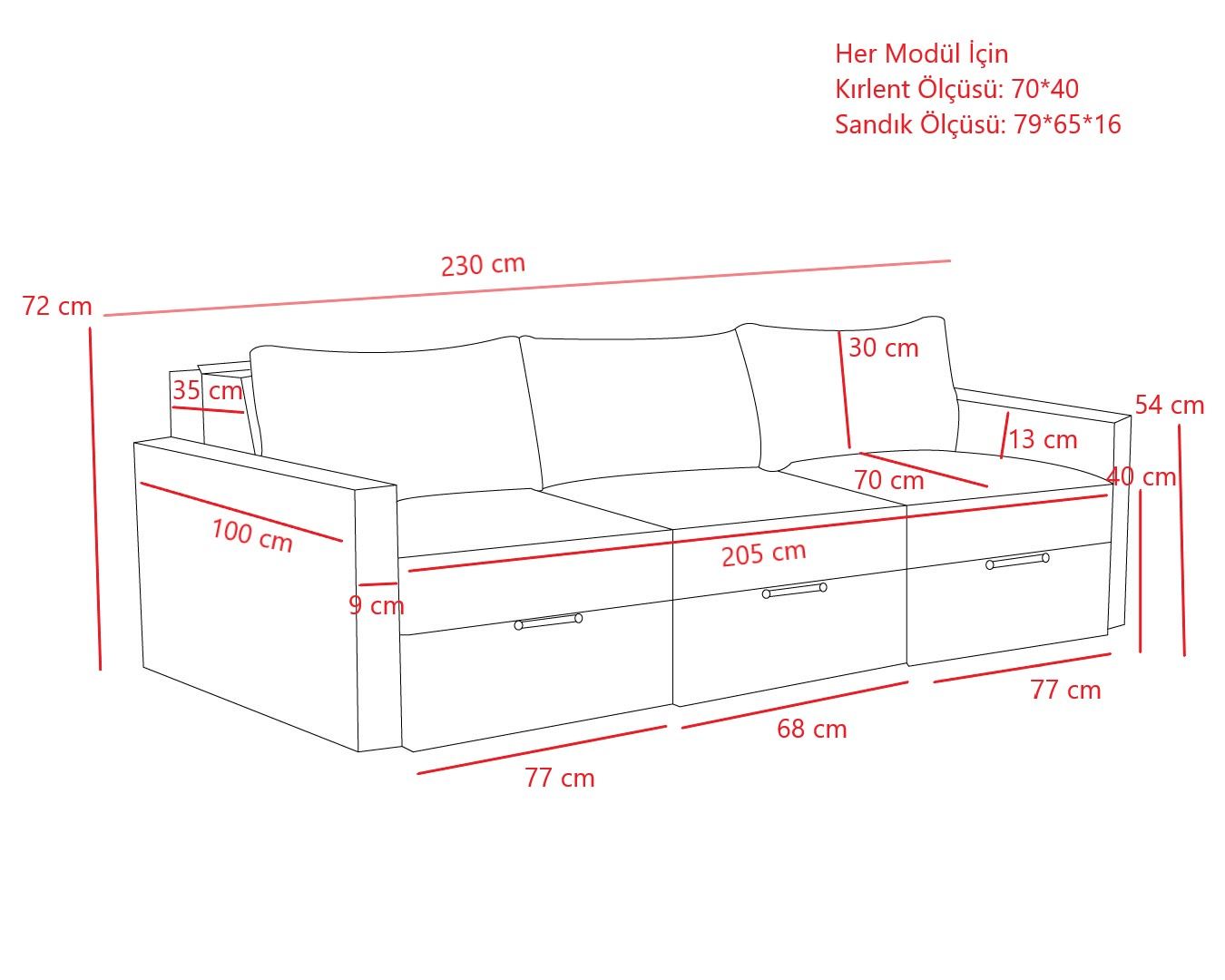 Sofá-cama de 3 lugares – 230 cm x 110 cm – Antracite – Madeira de fir