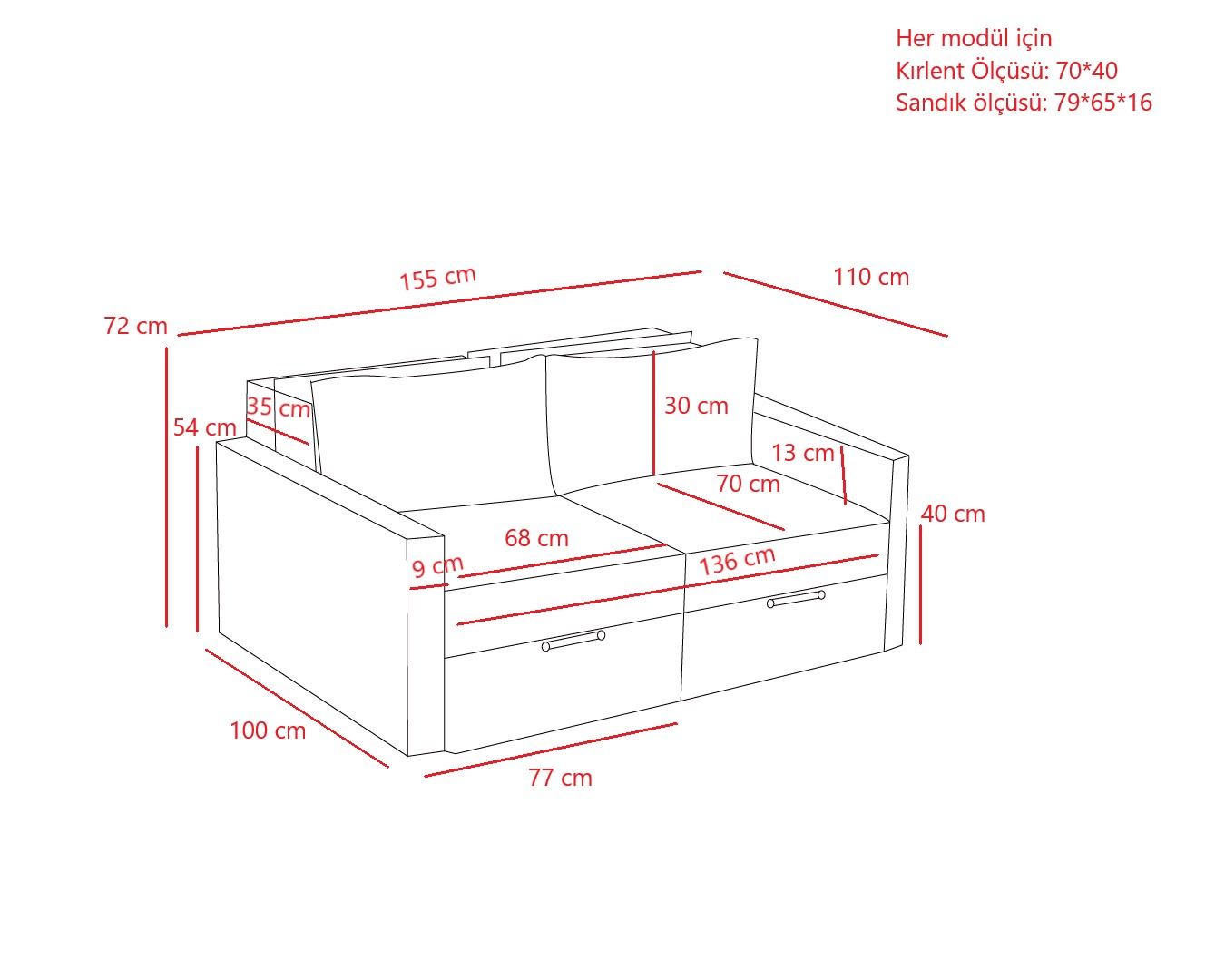 Sofá-cama de 2 lugares – 155 cm x 72 cm x 110 cm – Antracite – Madeira de Fir e Poliéster
