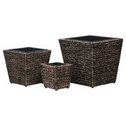 Vasos/floreiras 3 pcs jacinto de água castanho