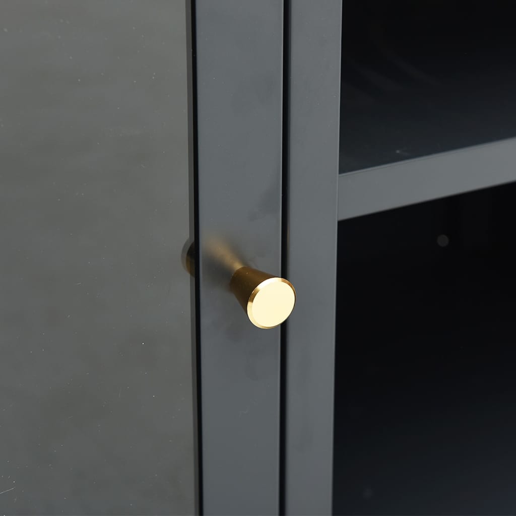 Móvel de TV 105x35x52 cm aço e vidro antracite