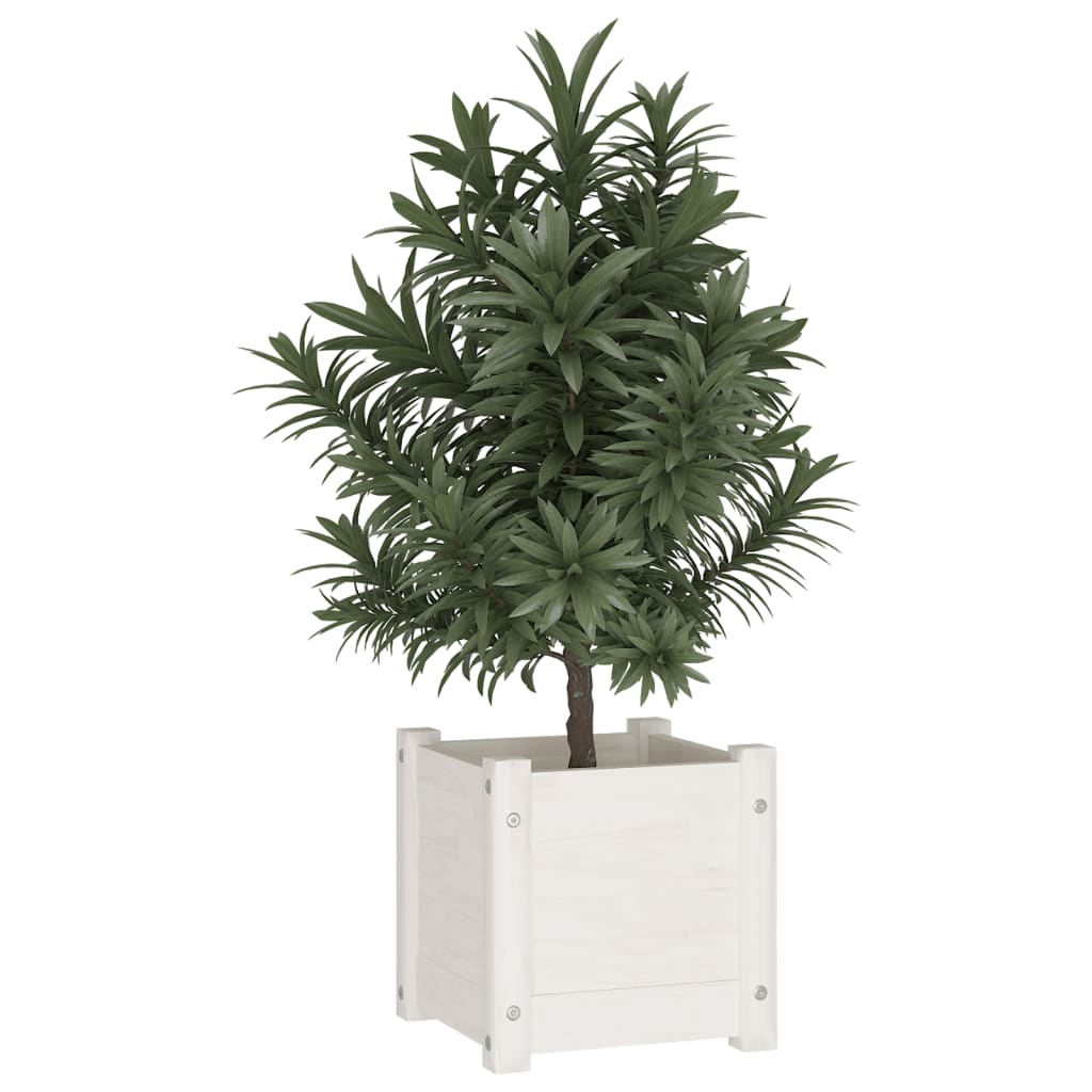 Vaso/floreira de jardim 31x31x31 cm pinho maciço