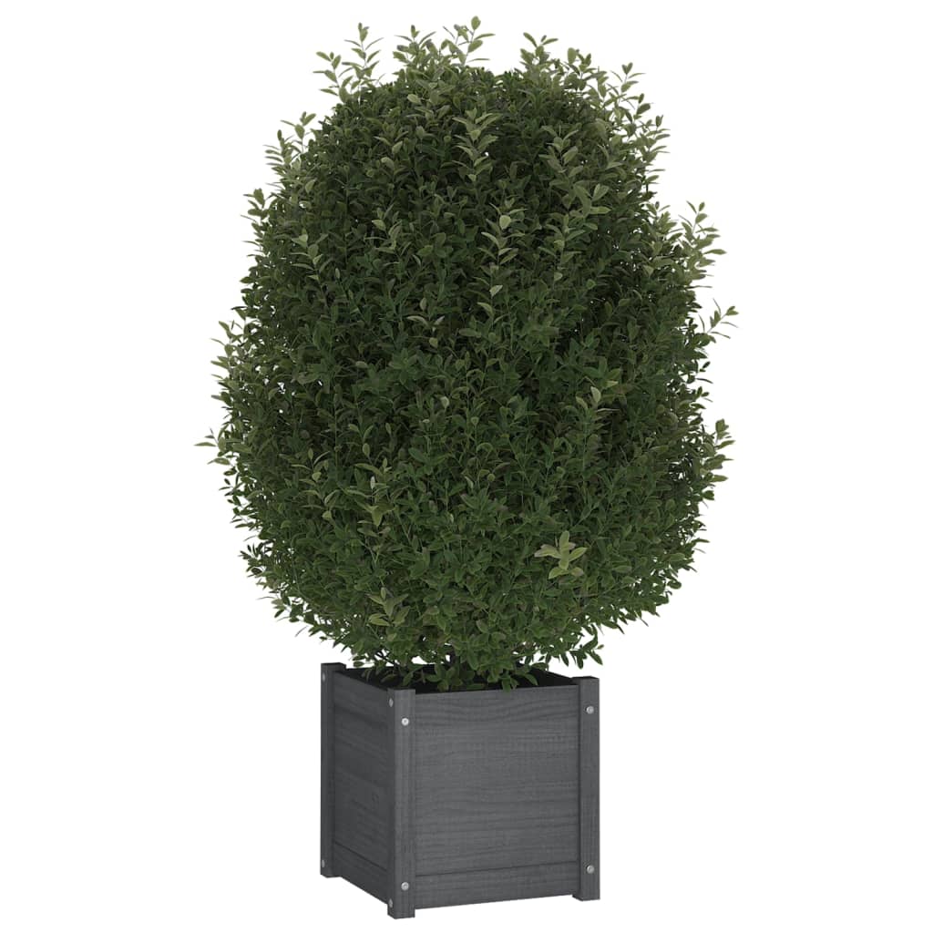 Vaso/floreira de jardim 31x31x31 cm pinho maciço