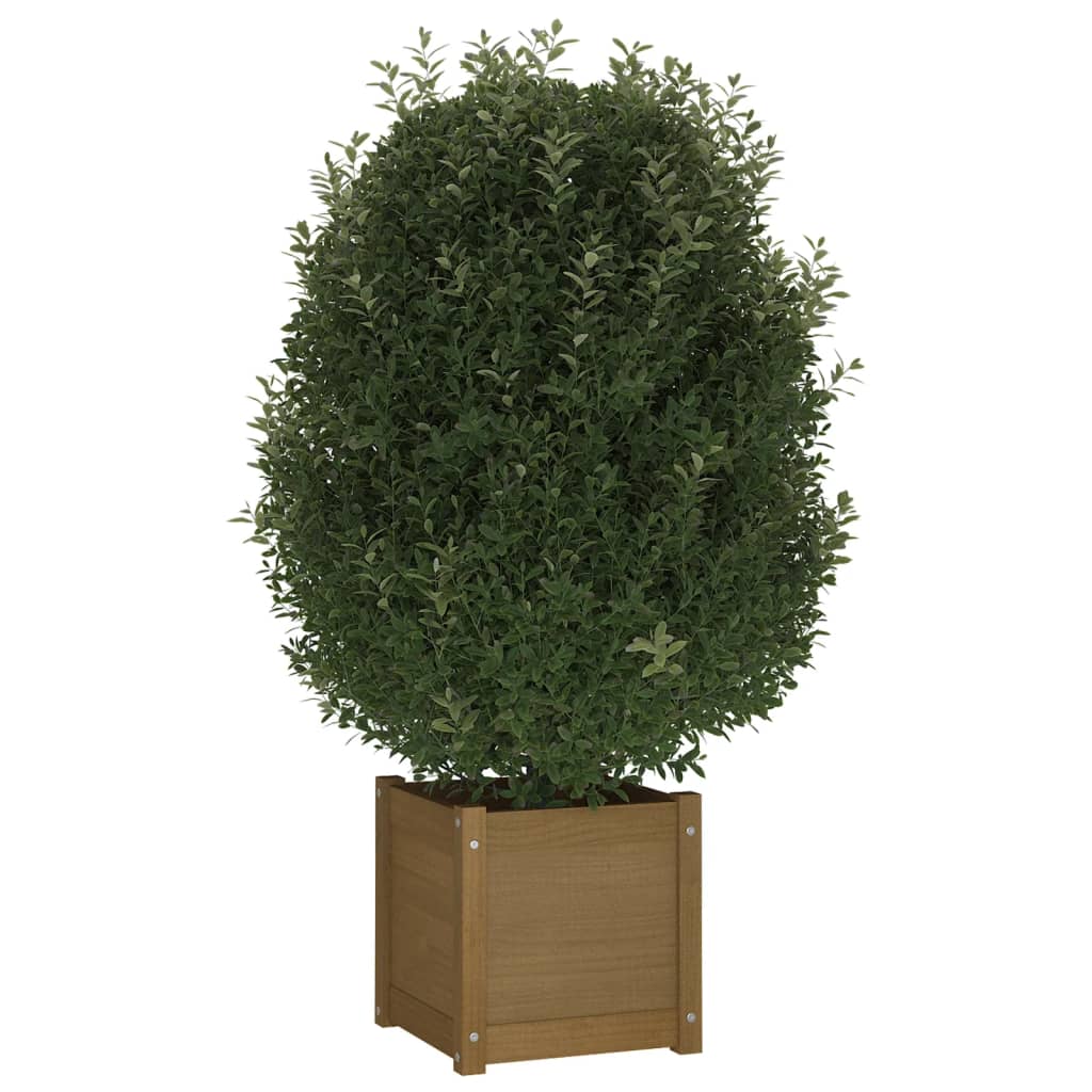 Vaso/floreira de jardim 31x31x31 cm pinho maciço