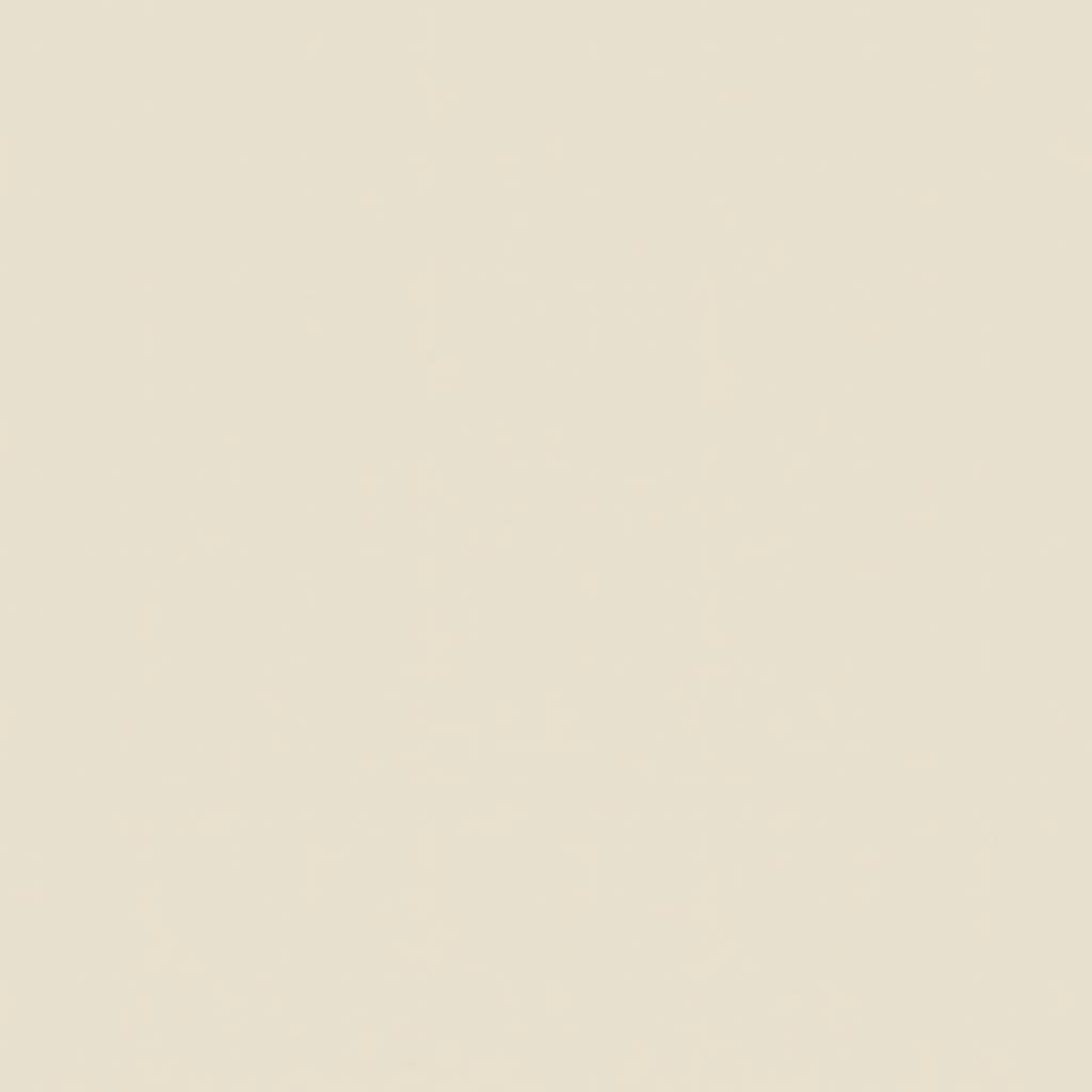 10 pcs conjunto lounge jardim c/ almofadões vime PE castanho