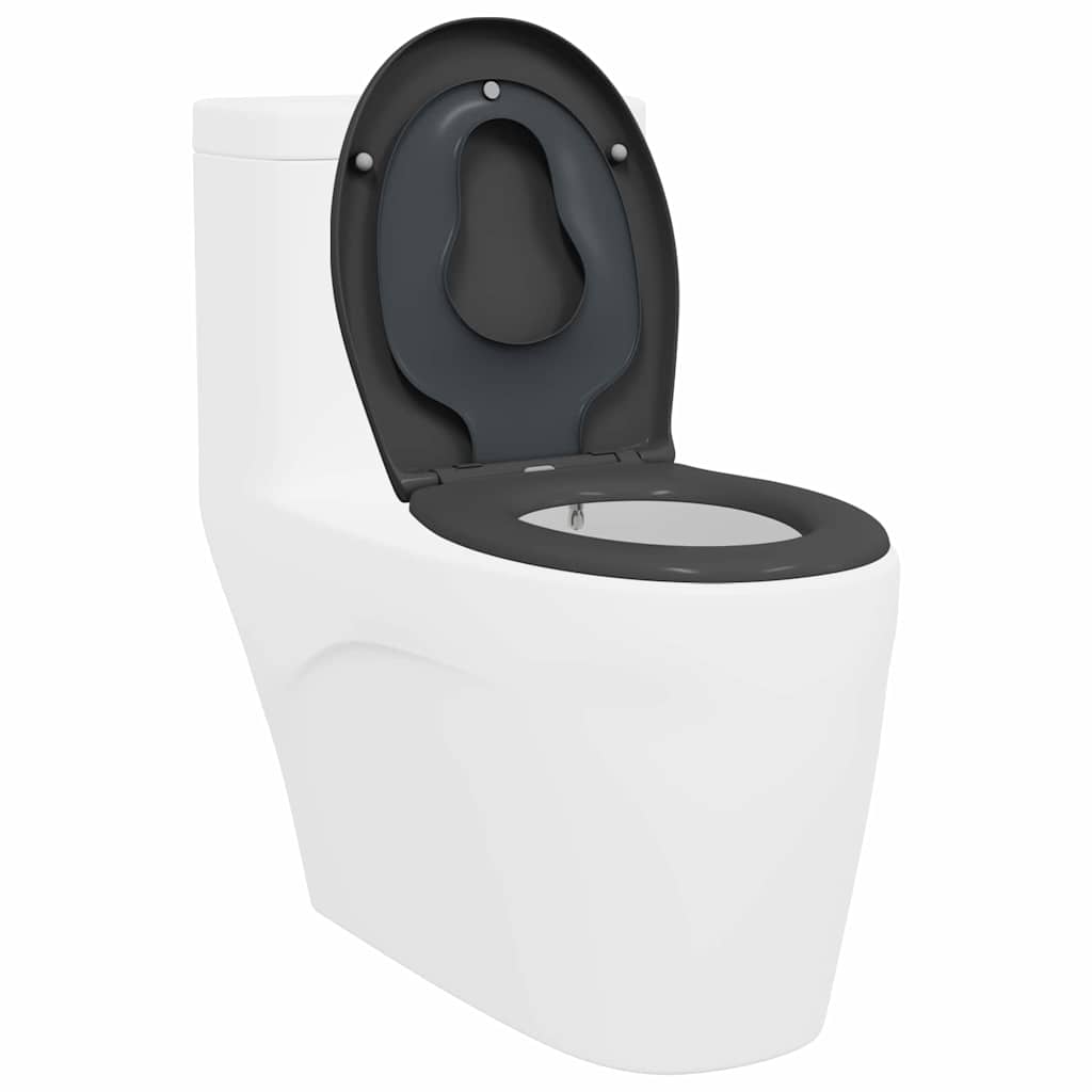 Assento de Toilette de Liberação Rápida Antracite