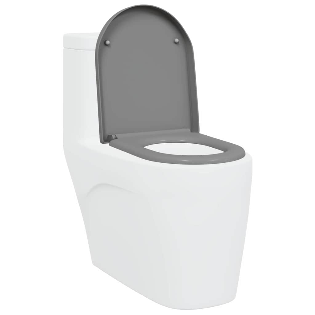 Assento de Toilette de Liberação Rápida Cinzeto