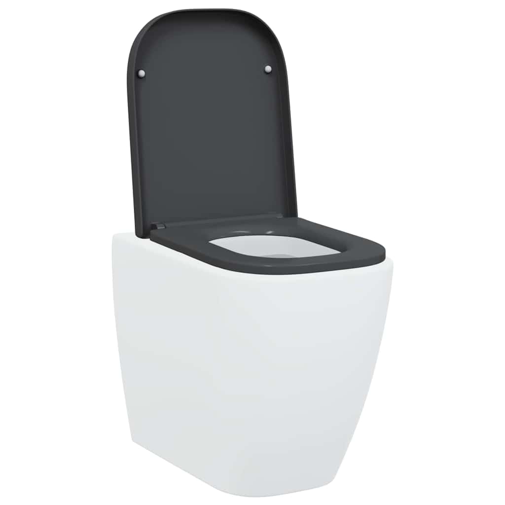 Assento de Toilette de Liberação Rápida Antracite