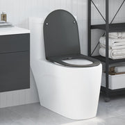 Assento de Toilette de Liberação Rápida Antracite