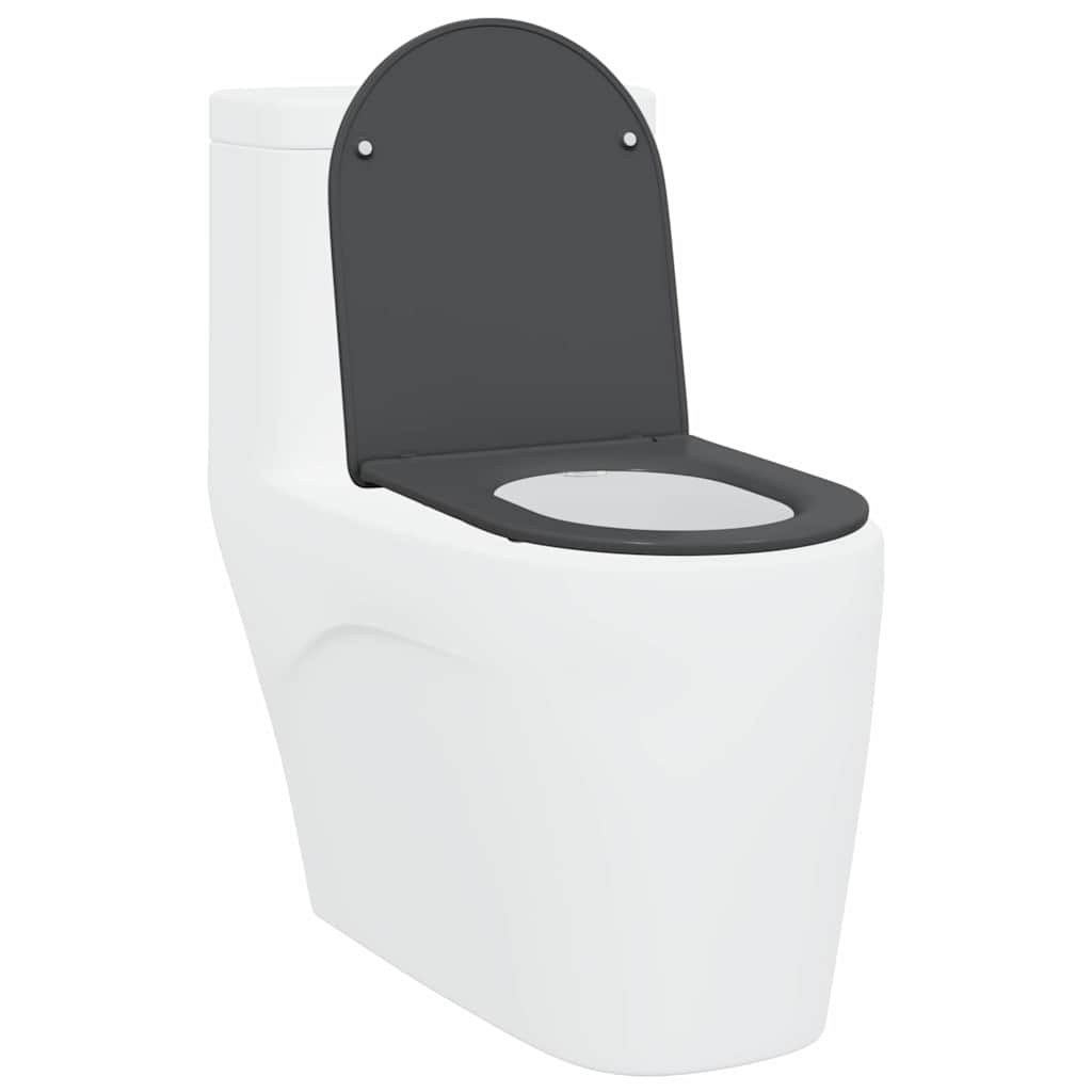 Assento de Toilette de Liberação Rápida Antracite
