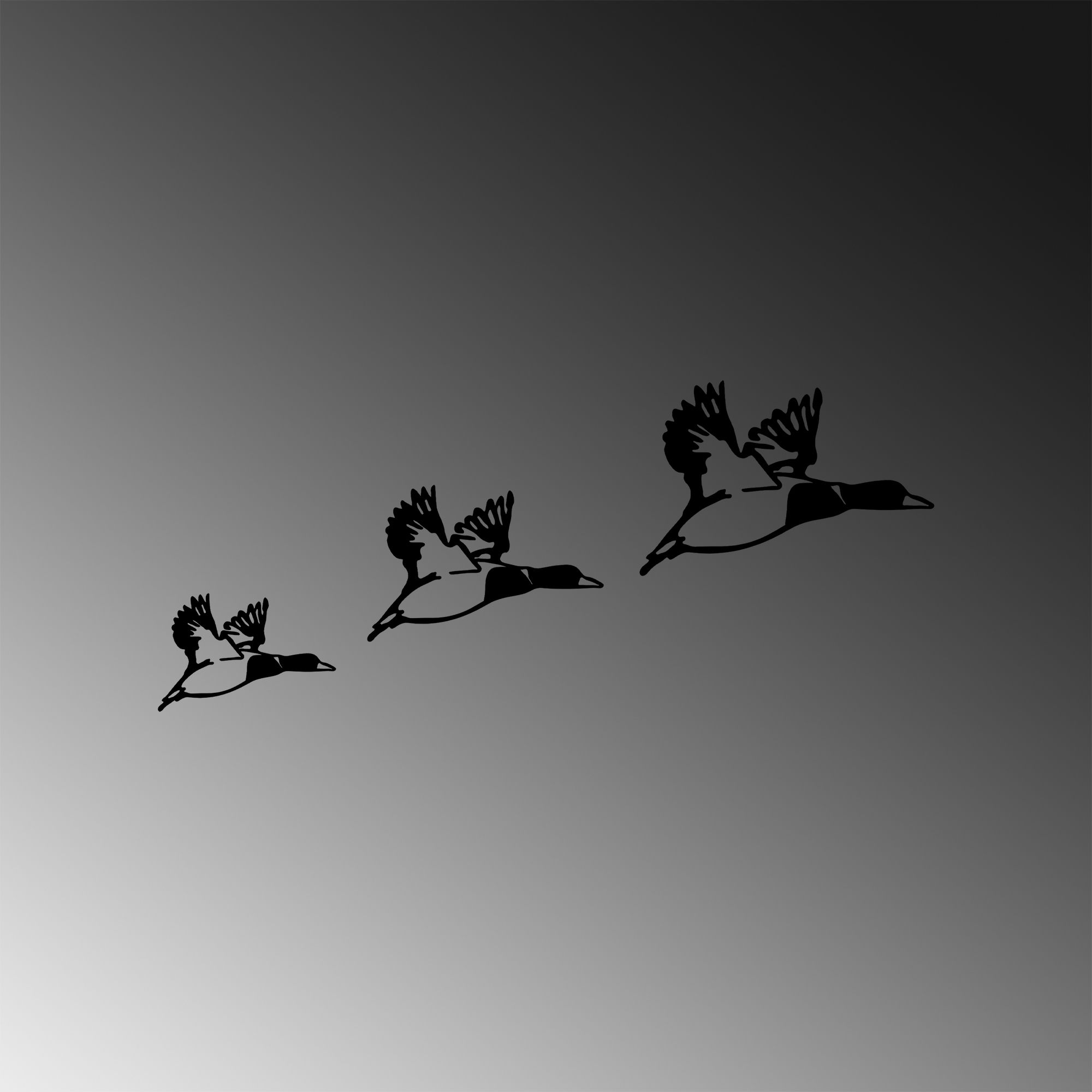 Acessórios decorativos de parede – 11x16cm, 14x22cm, 18x27cm – Preto – 100% metal