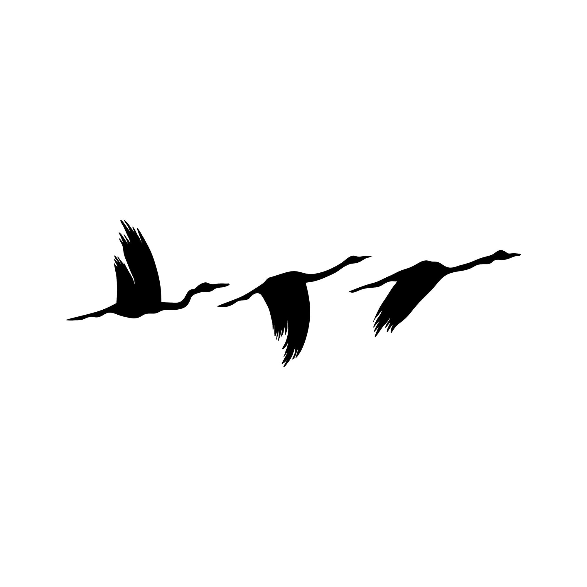 Acessórios Decorativos de Parede em Metal – 11x16cm, 14x22cm, 18x27cm – Preto – 100% Metal