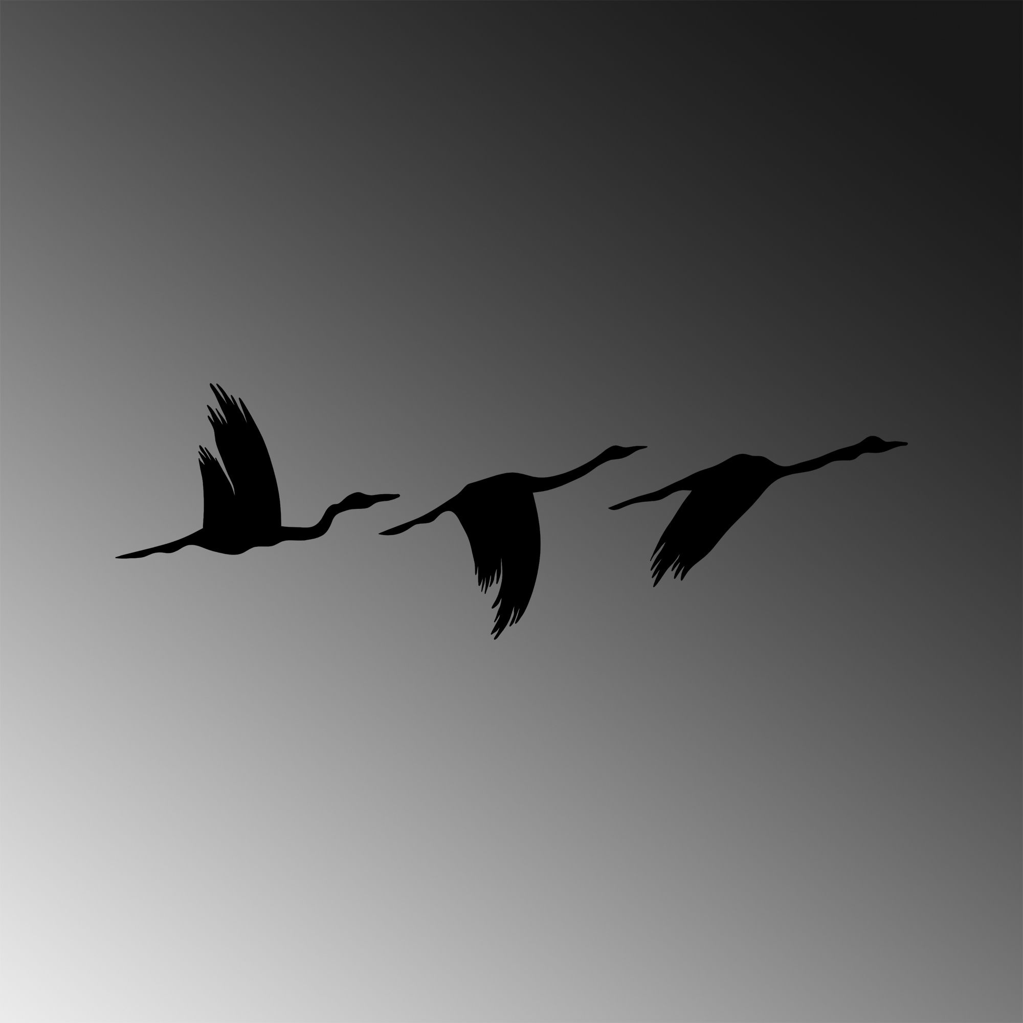 Acessórios Decorativos de Parede em Metal – 11x16cm, 14x22cm, 18x27cm – Preto – 100% Metal