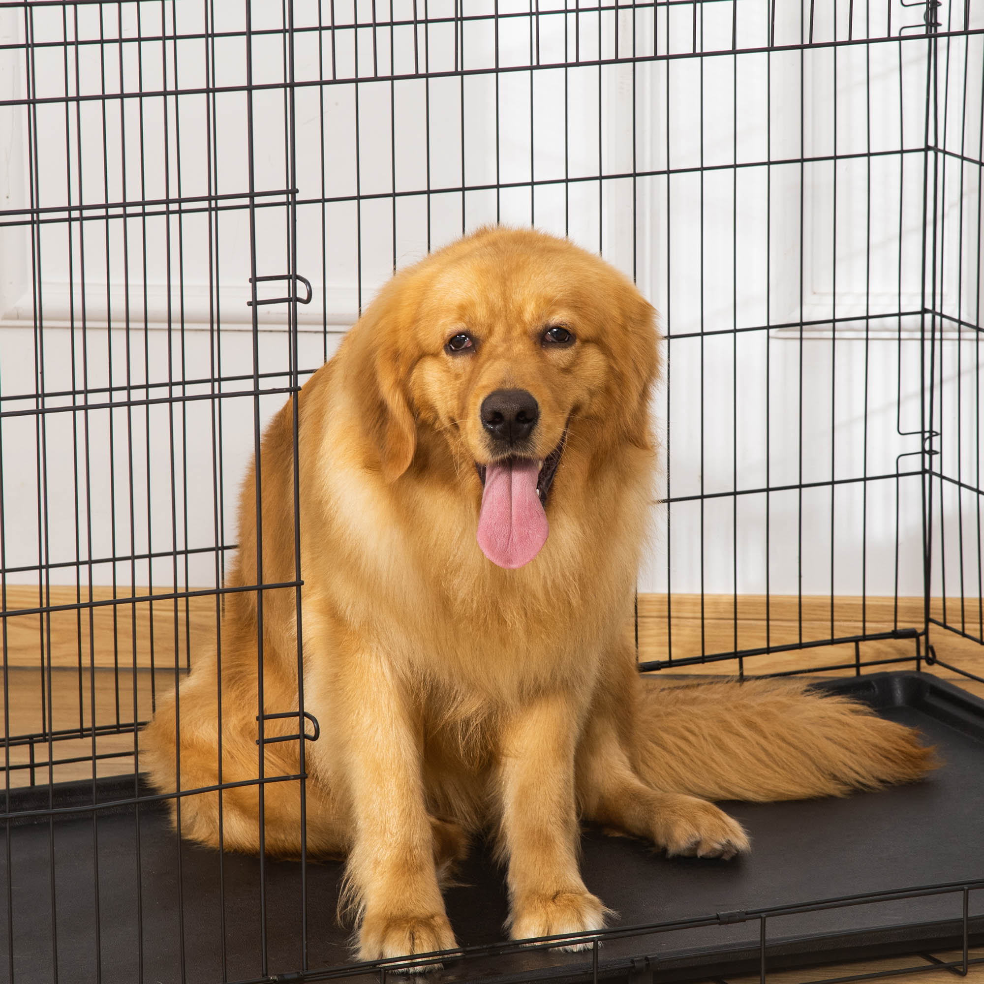 Gaiola para Cães 121x74,5x81cm Preto - Transporte Confortável e Seguro