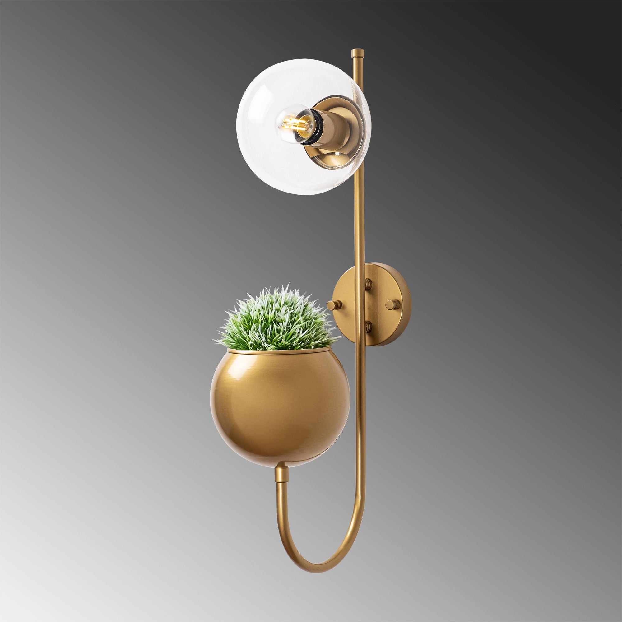 Candeeiro de Parede Elegante, Dourado Brilhante, 15 x 23 x 61 cm | Corpo de Metal e Tampa de Vidro, Soquete E14, IP20 | Design Escandinavo Moderno para Espaços Glamourosos