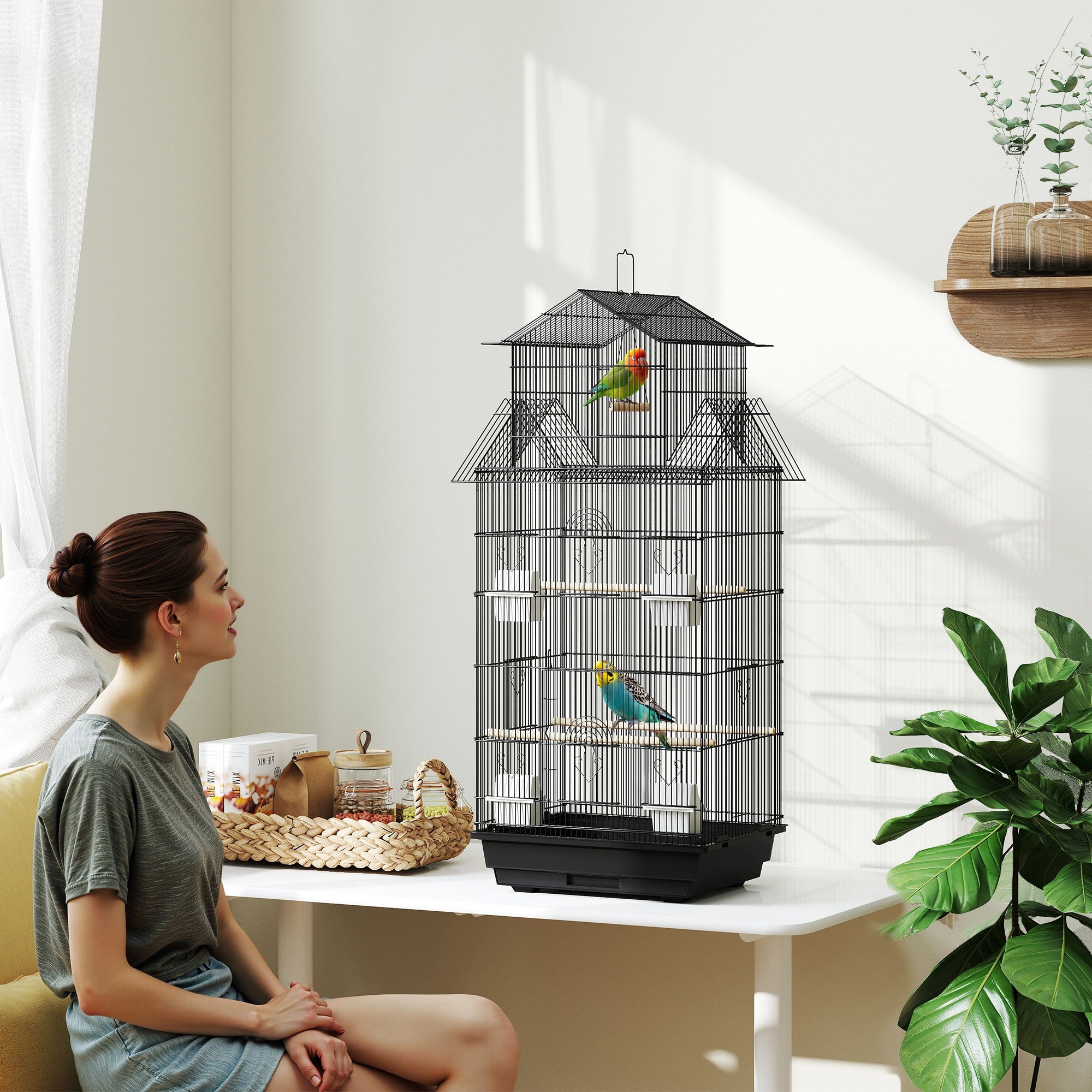 Gaiola para Pássaros com Bandeja Amovível 50,5x41x104 cm Preto