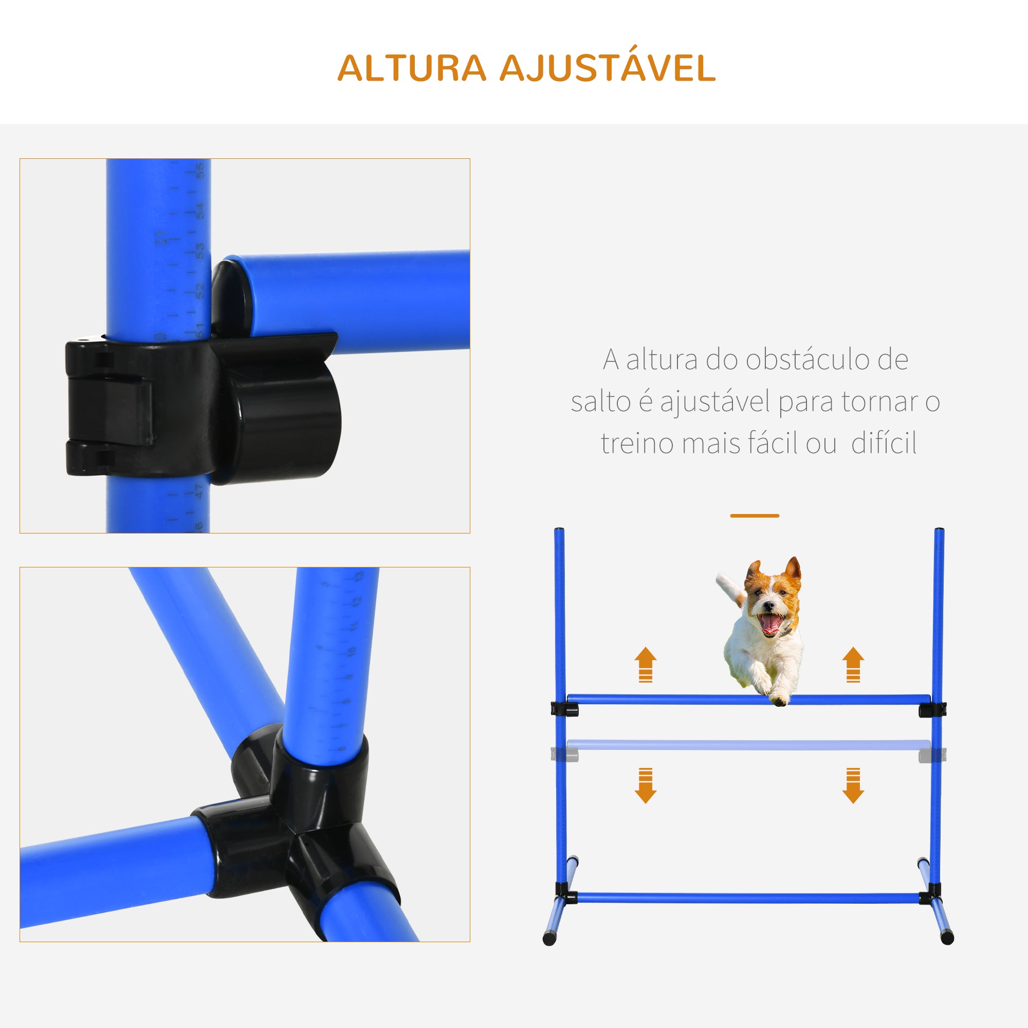 Conjunto de Obstáculos de Treinamento para Cães – 99x65x94 cm – Azul – PE, PVC e ABS